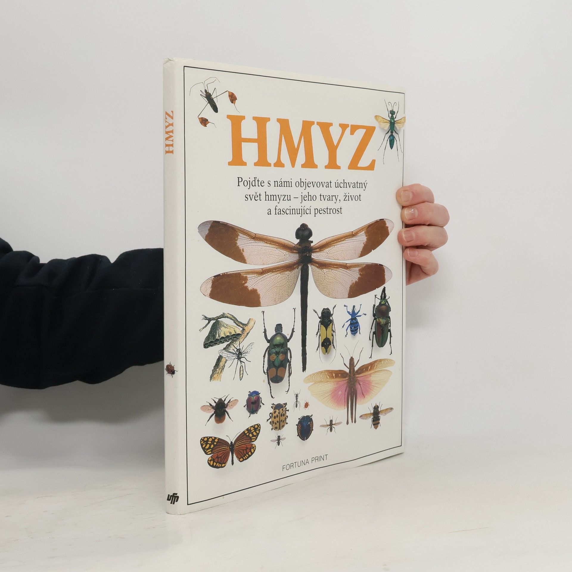 Autorenkollektiv Hmyz