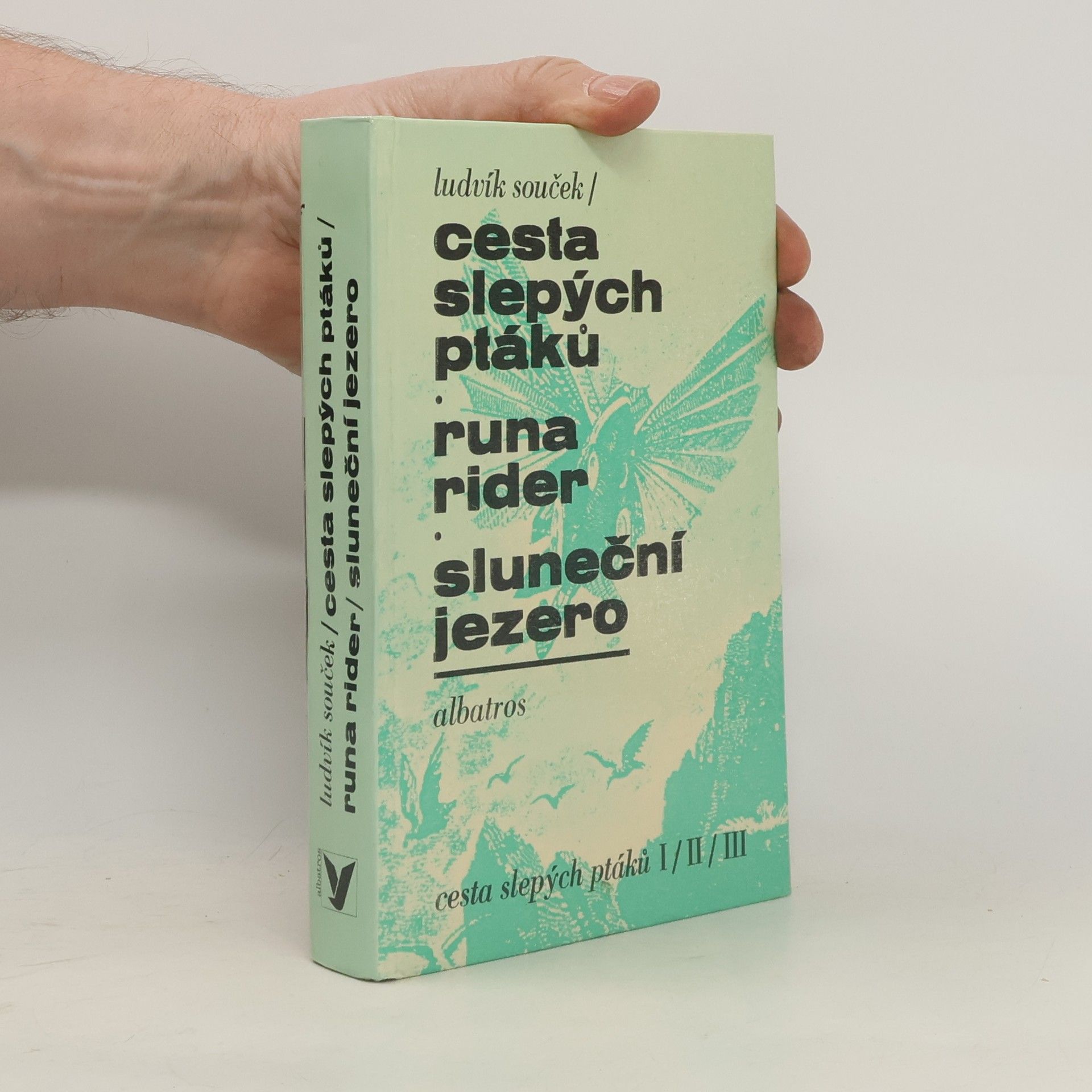 Ludvík Souček Cesta slepých ptáků, Runa rider, Sluneční jezero