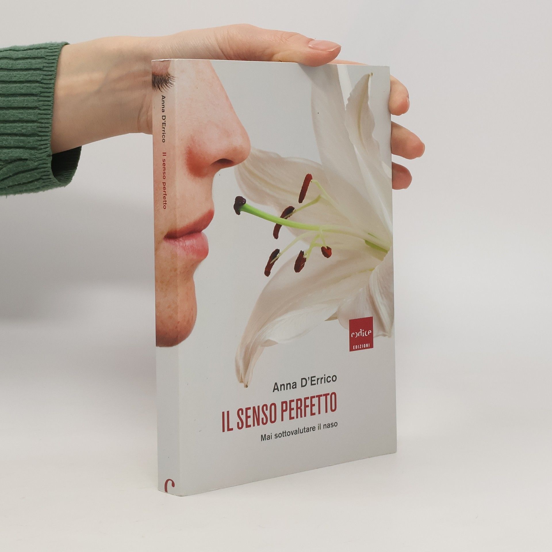 Anna D'Errico Il senso perfetto