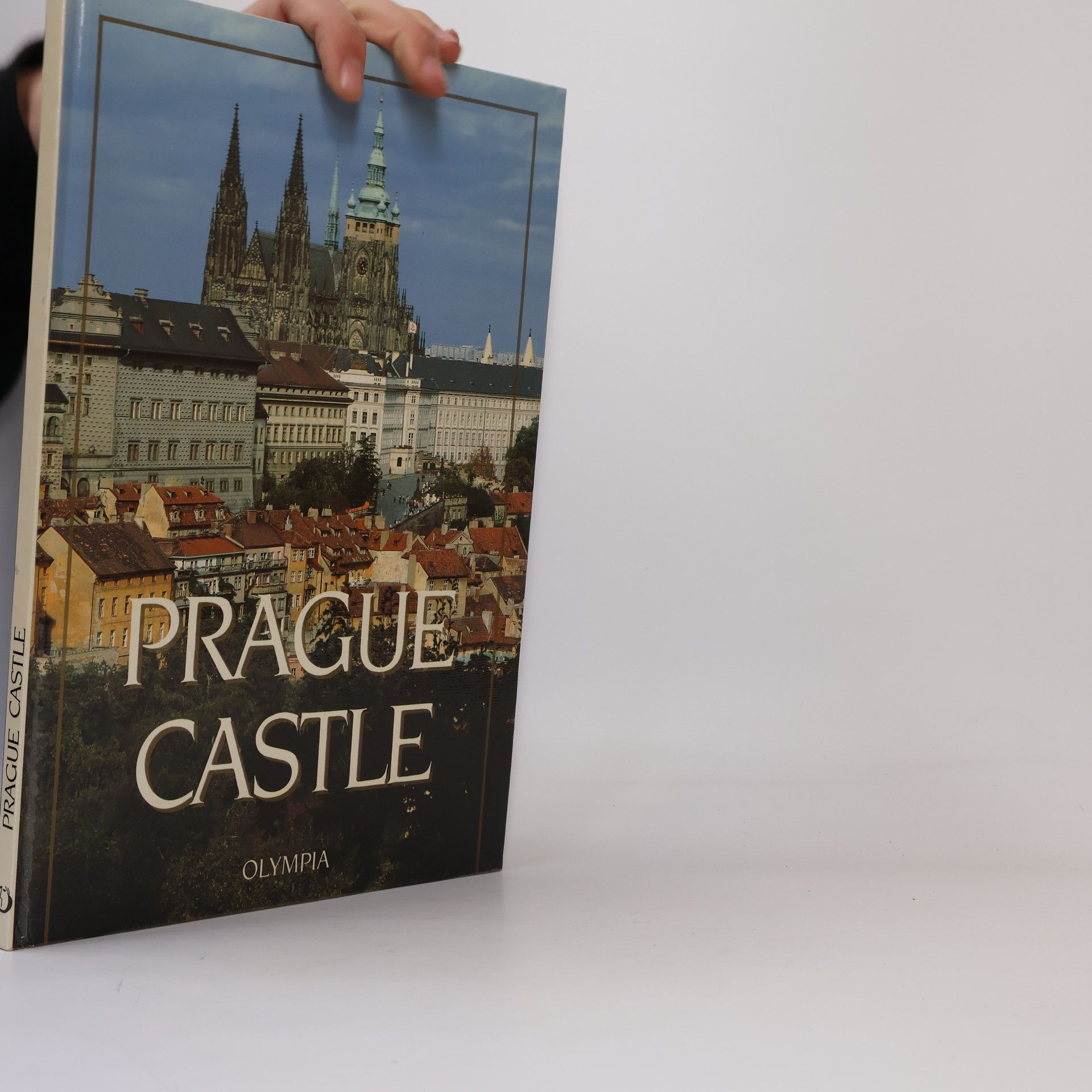 Petr Chotěbor The Prague Castle