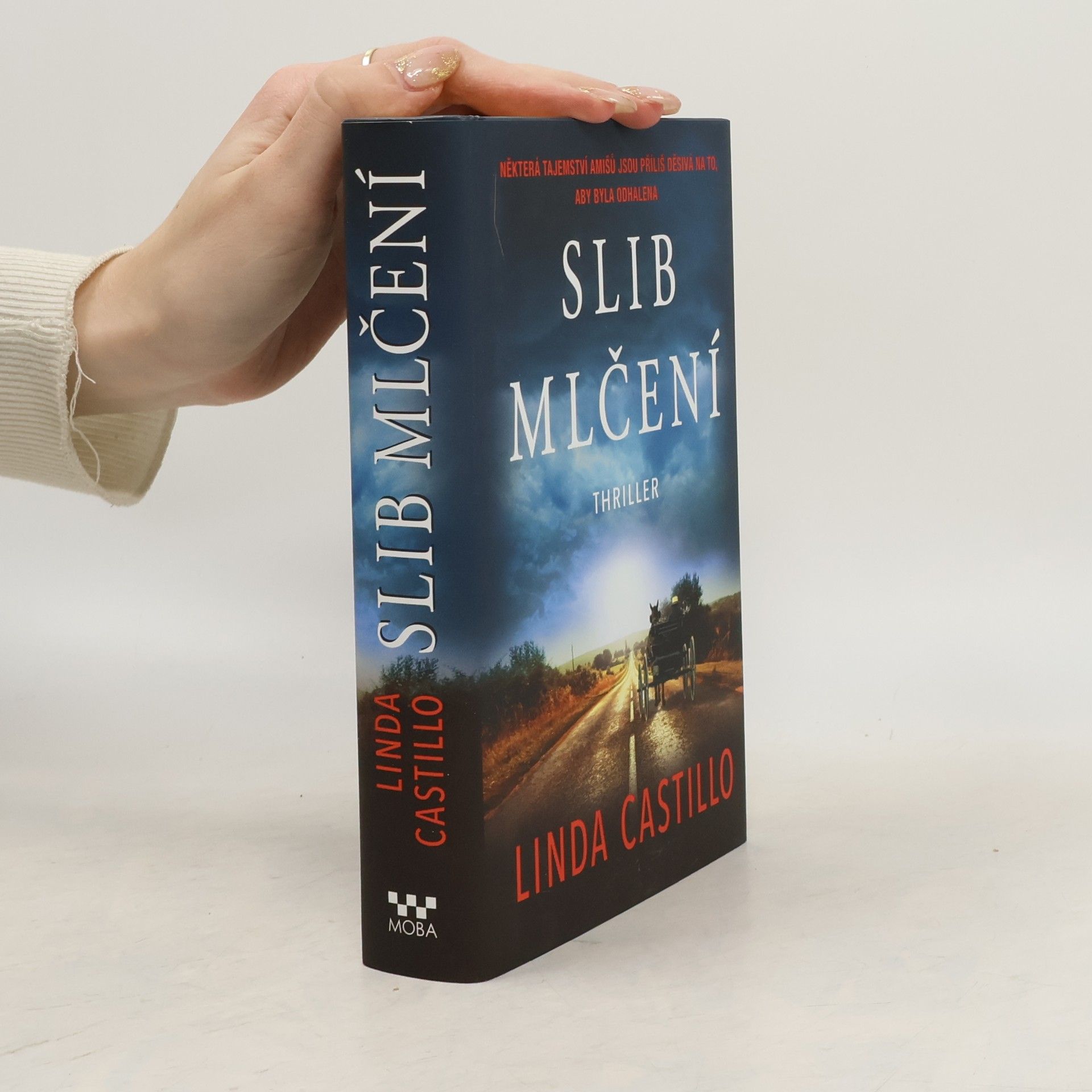 Linda Castillo Slib mlčení