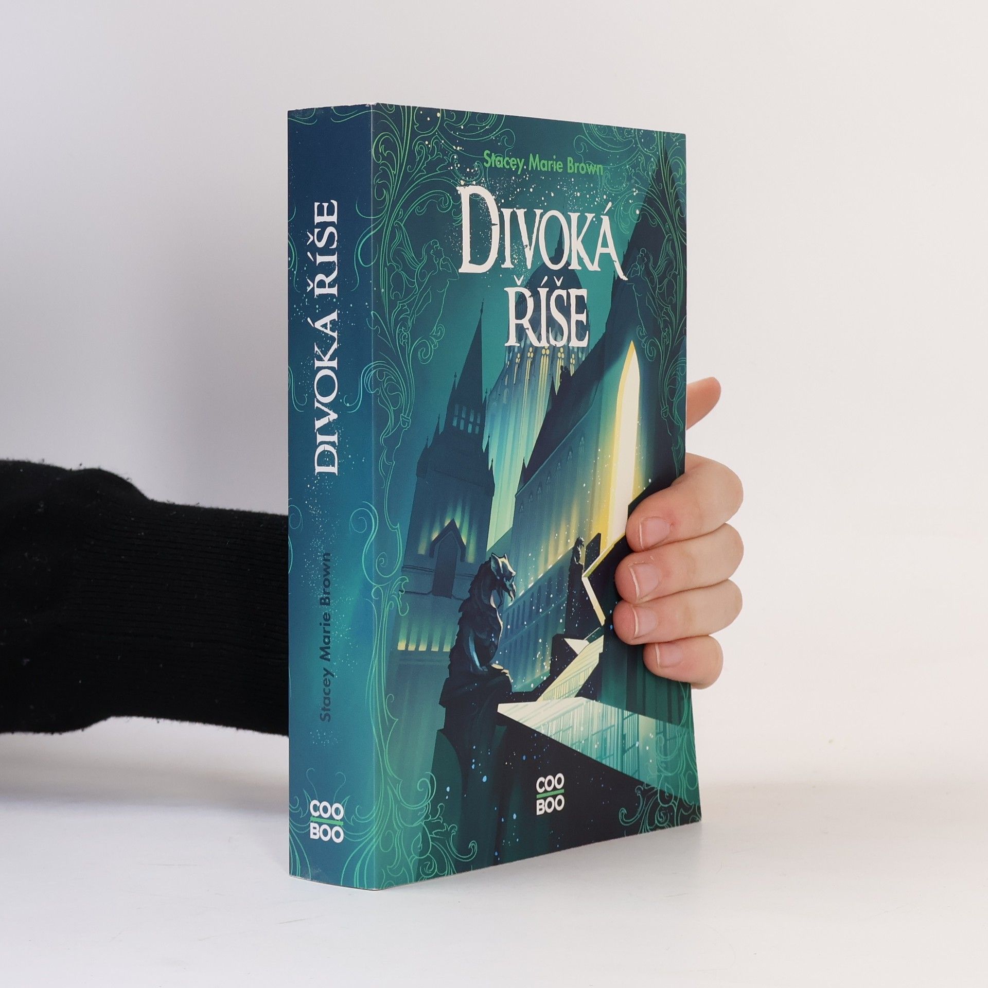 Stacey Marie Brown Divoká říše