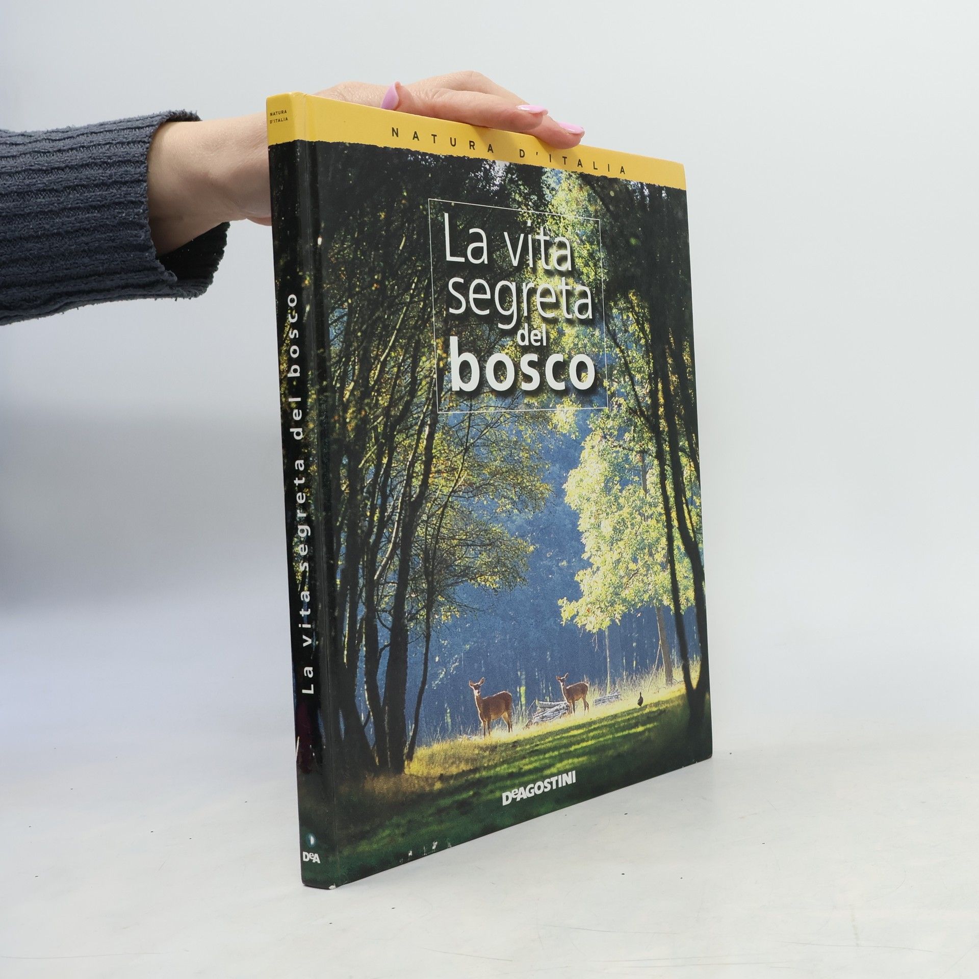 Kolektiv autorů Natura d'Italia: La vita segreta del bosco