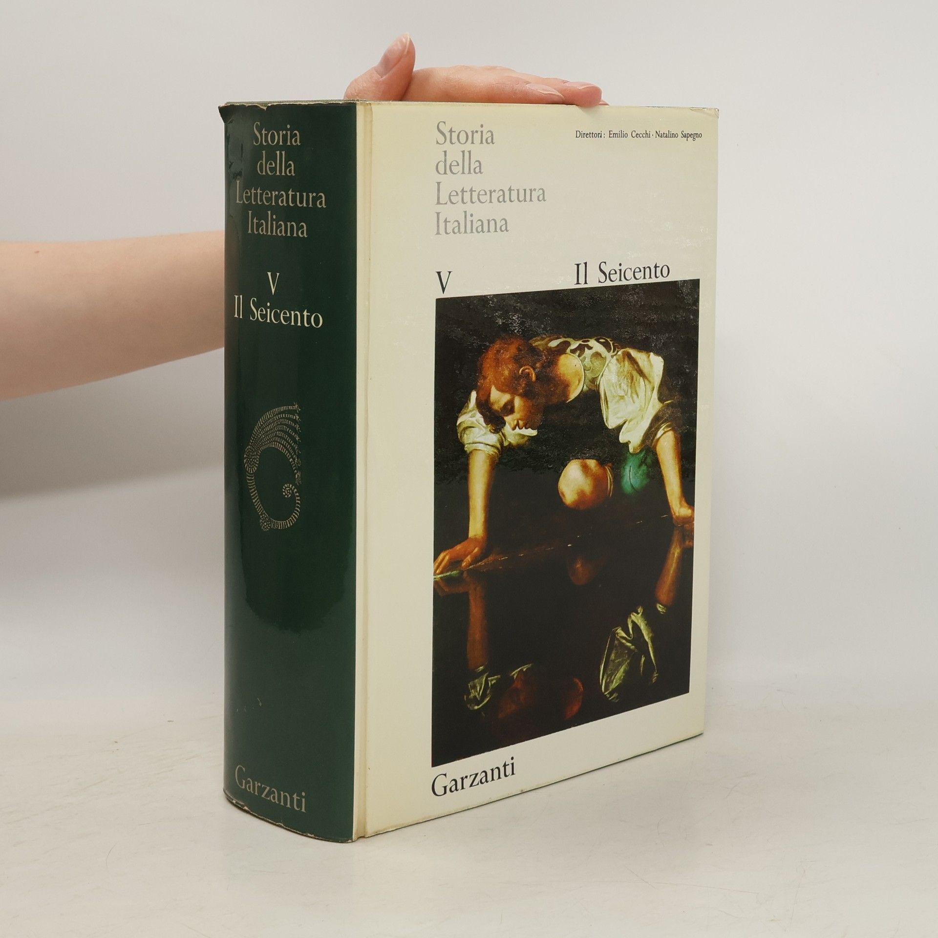 Kolektiv autorů Storia della Letteratura Italiana V