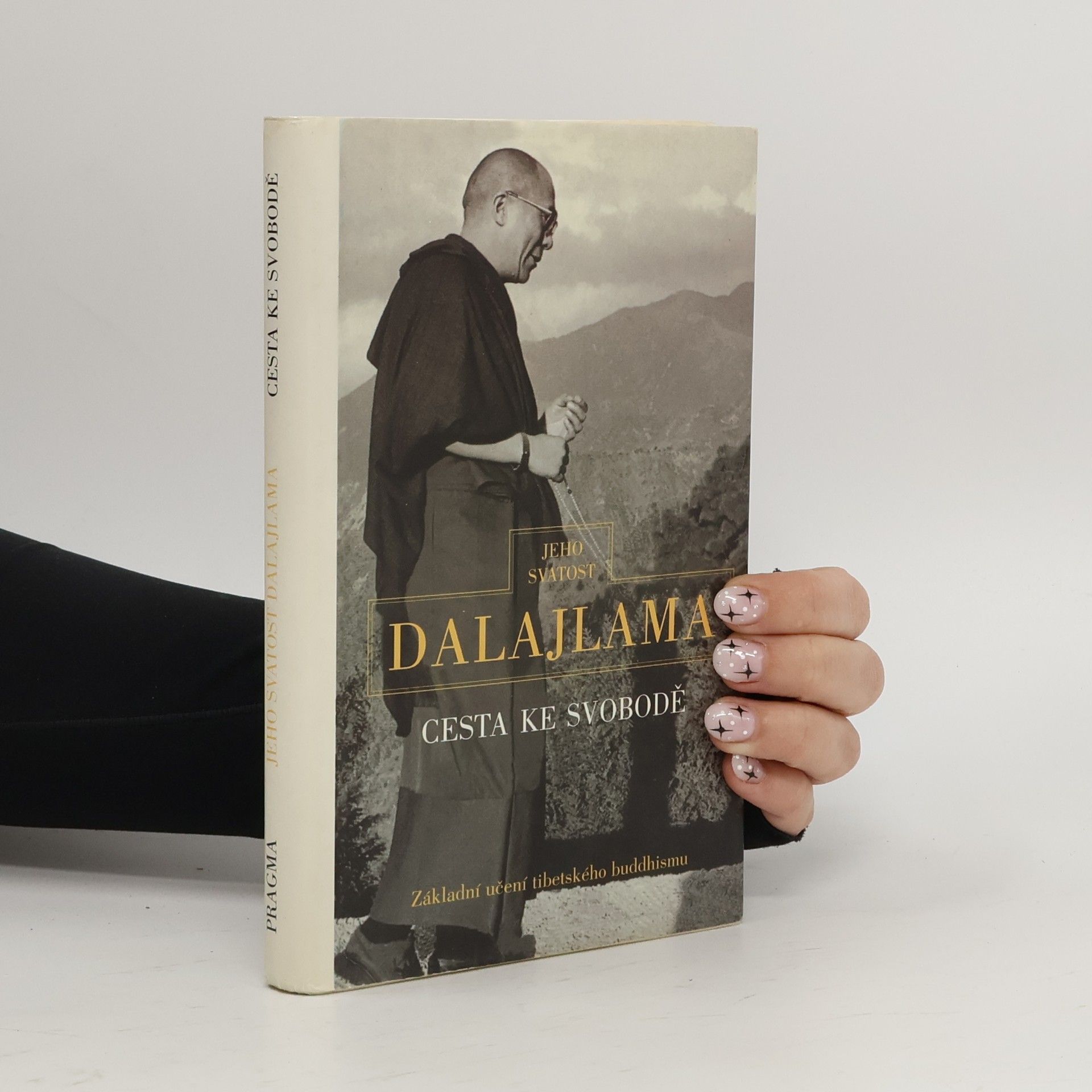 Irena Janovcová Cesta ke svobodě