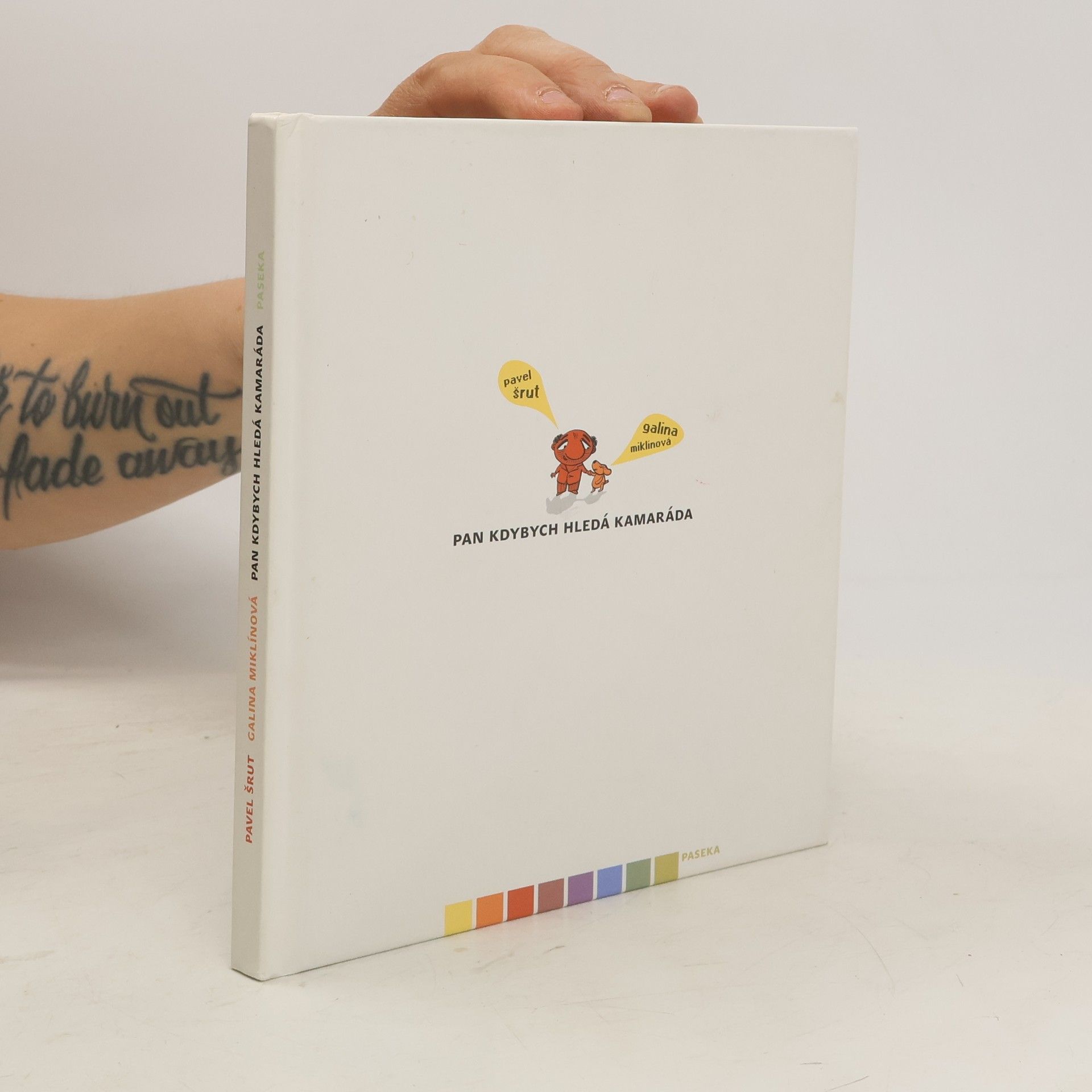 Pavel Šrut Pan Kdybych hledá kamaráda