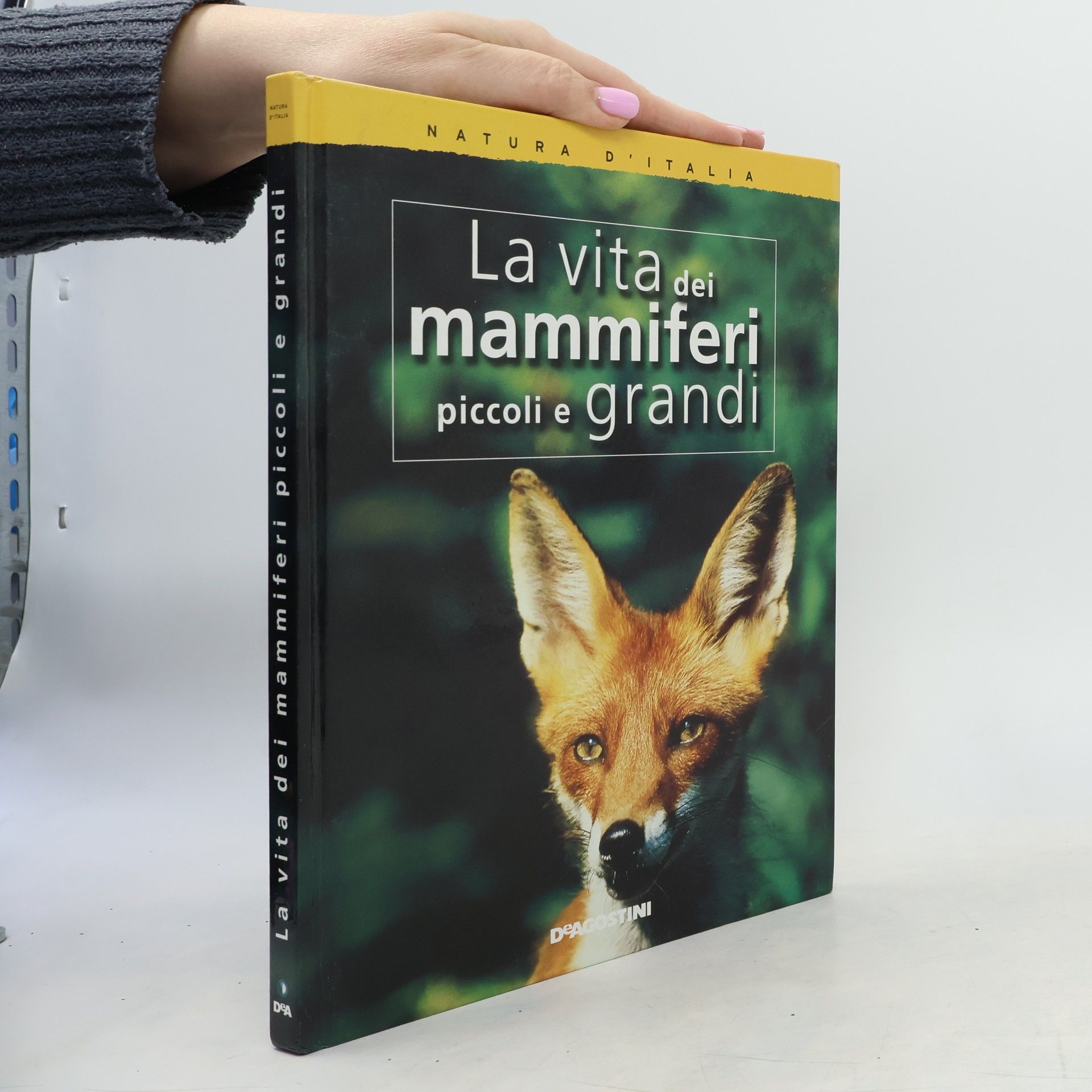 Autorenkollektiv Natura d'Italia: La vita dei mammiferi piccoli e grandi