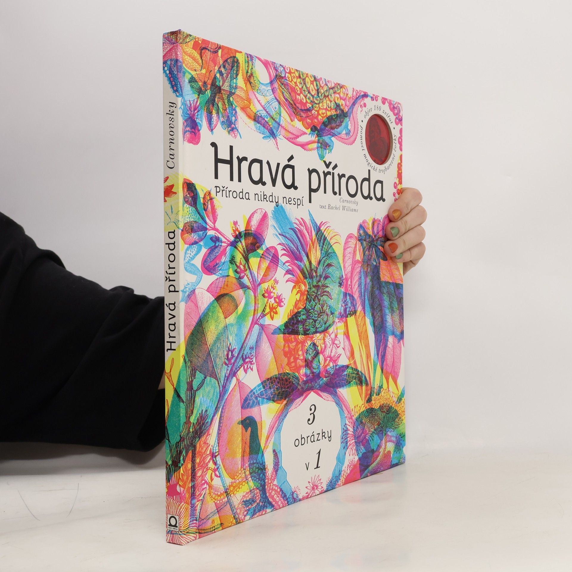 Rachel Williams Hravá příroda - Příroda nikdy nespí