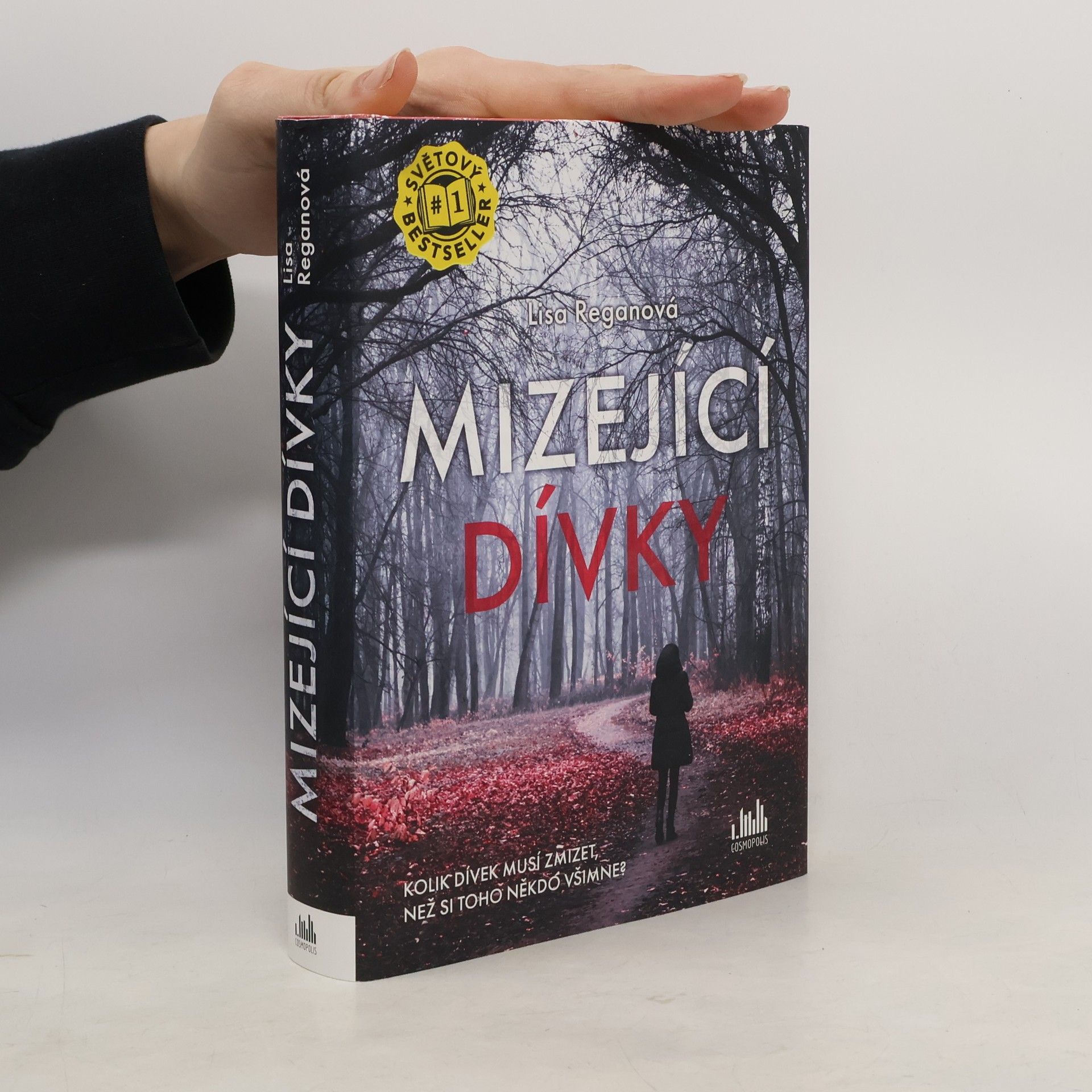 Lisa Regan Mizející dívky