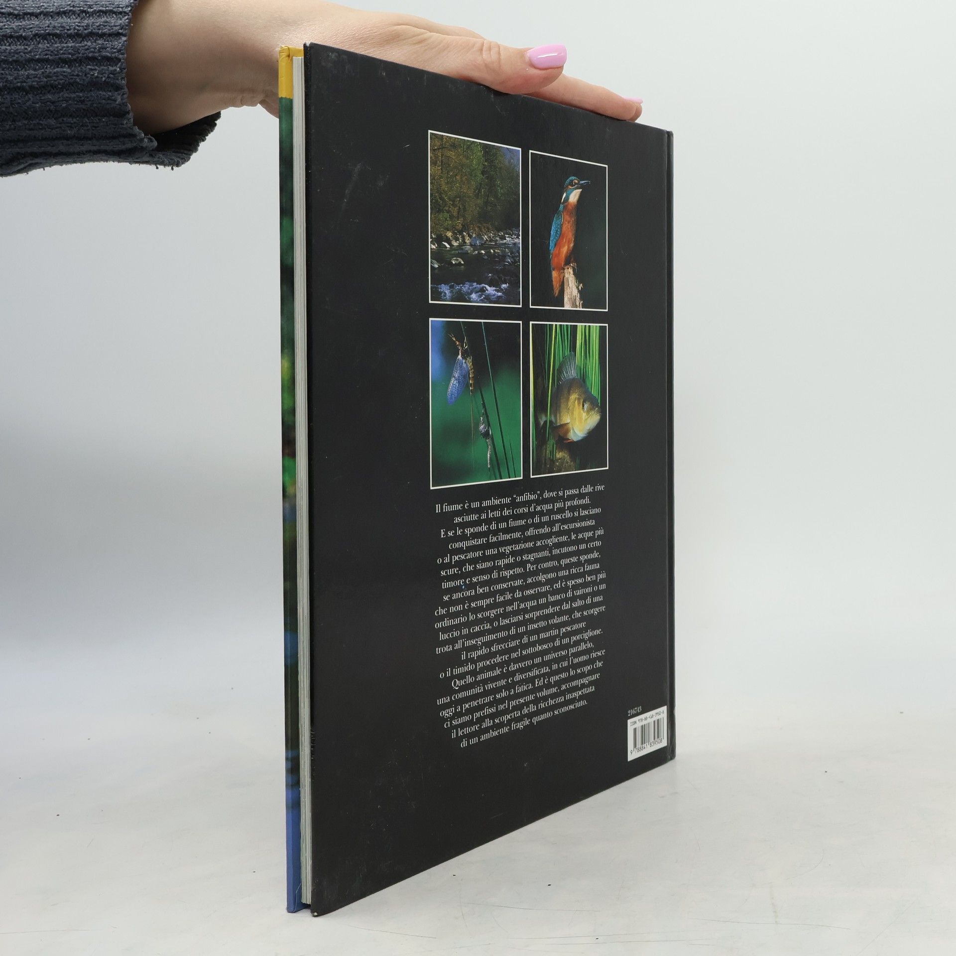Kolektiv autorů La vita nelle acque dei fiumi