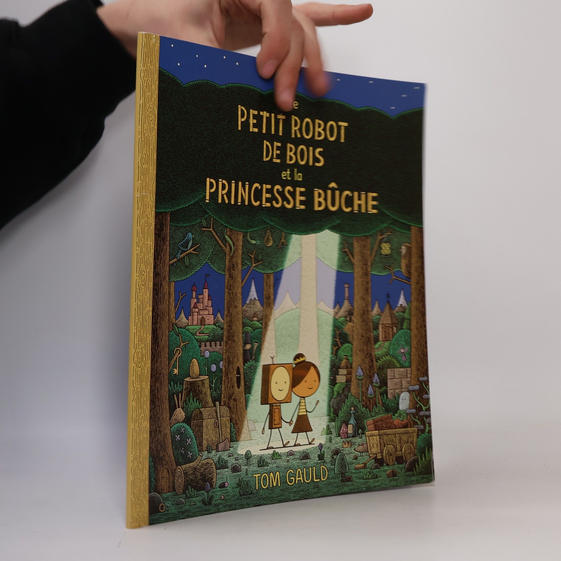 Le petit robot de bois et la princesse bûche