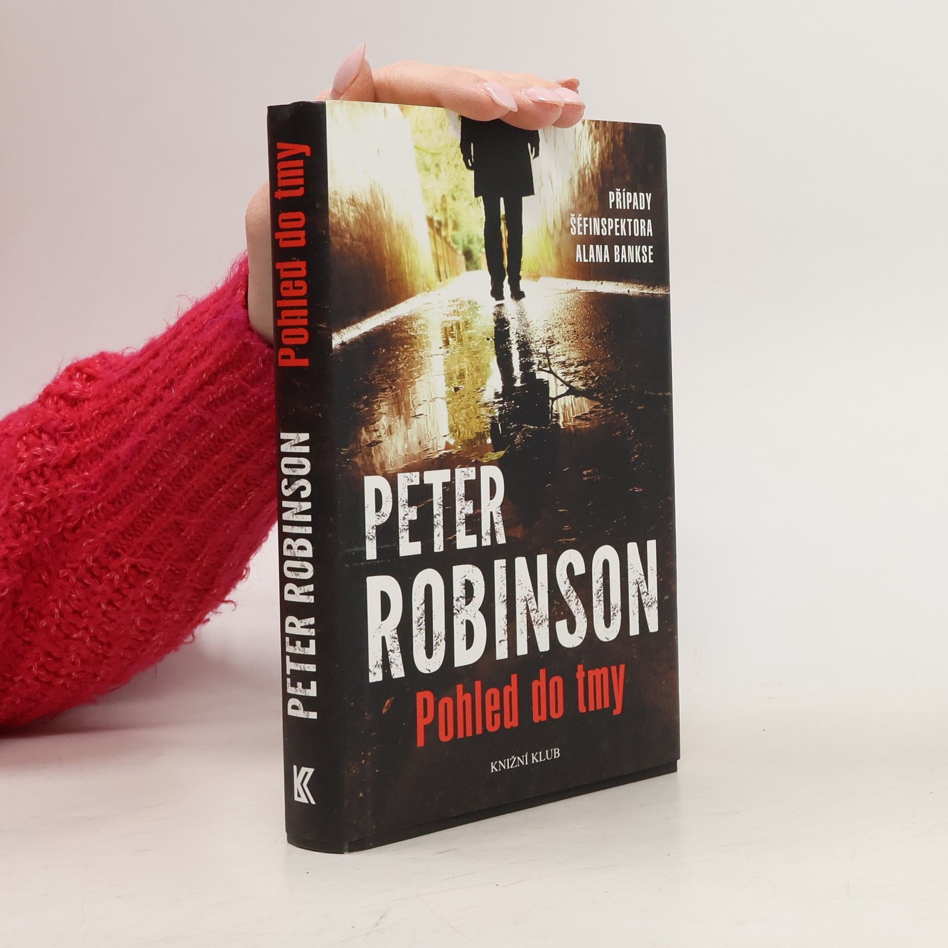 Peter Robinson Pohled do tmy