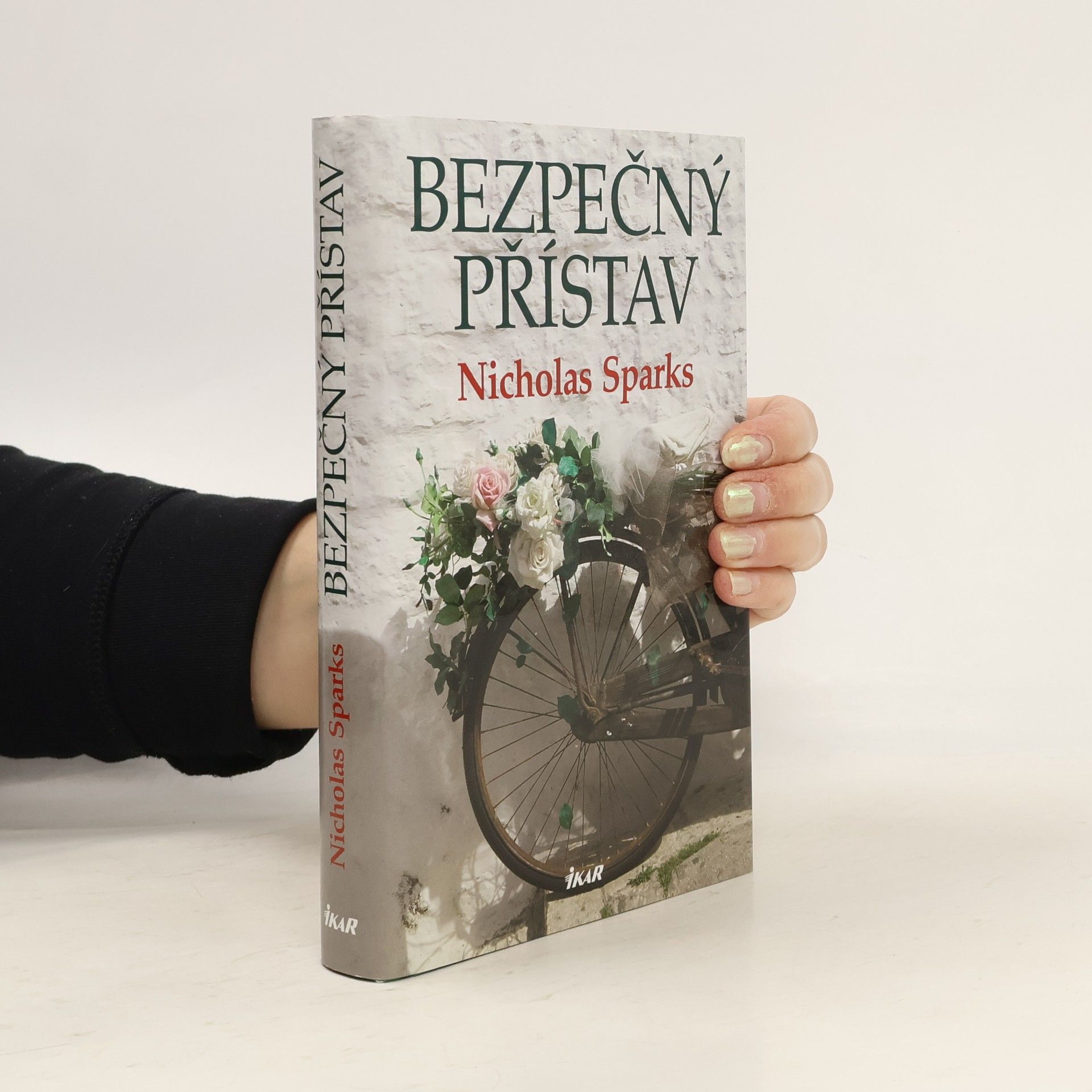 Nicholas Sparks Bezpečný přístav
