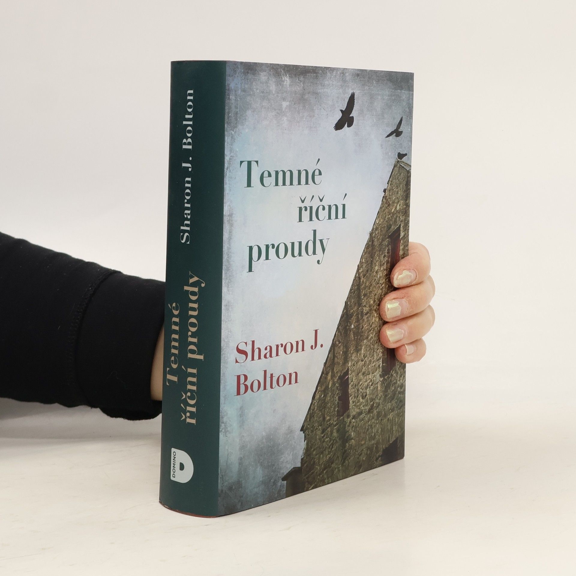 S. J. Bolton Temné říční proudy