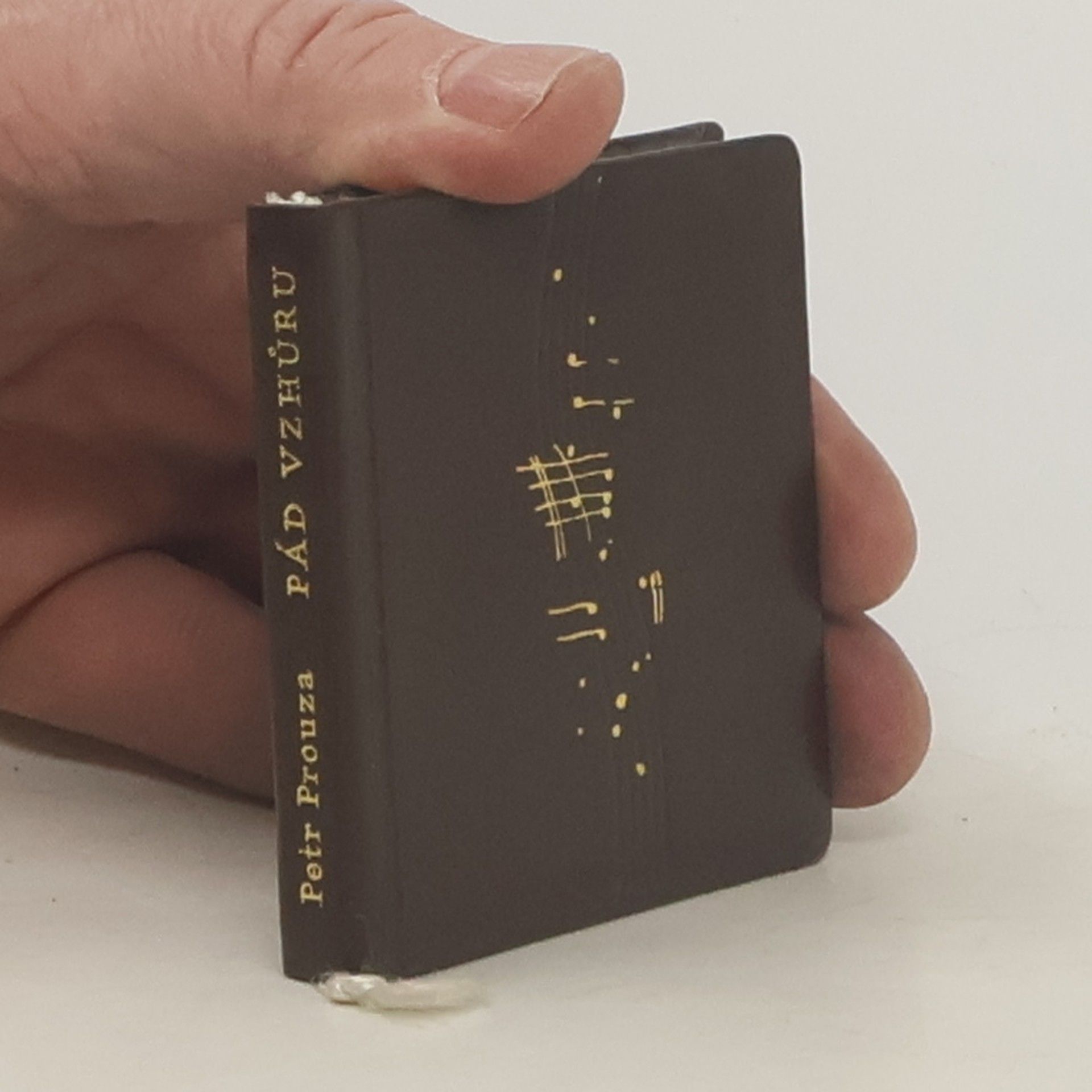 Petr Prouza Pád vzhůru