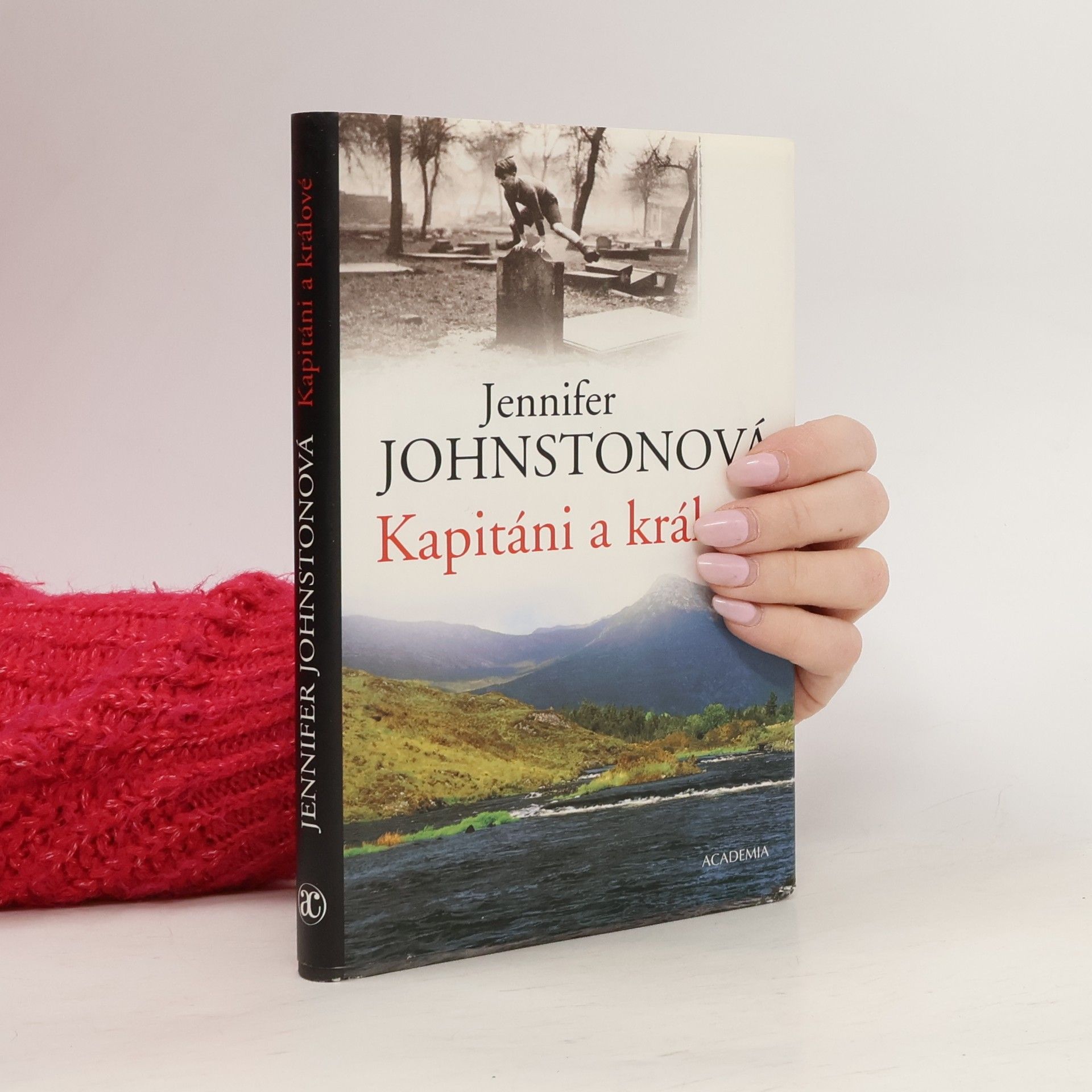 Jennifer Johnston Kapitáni a králové