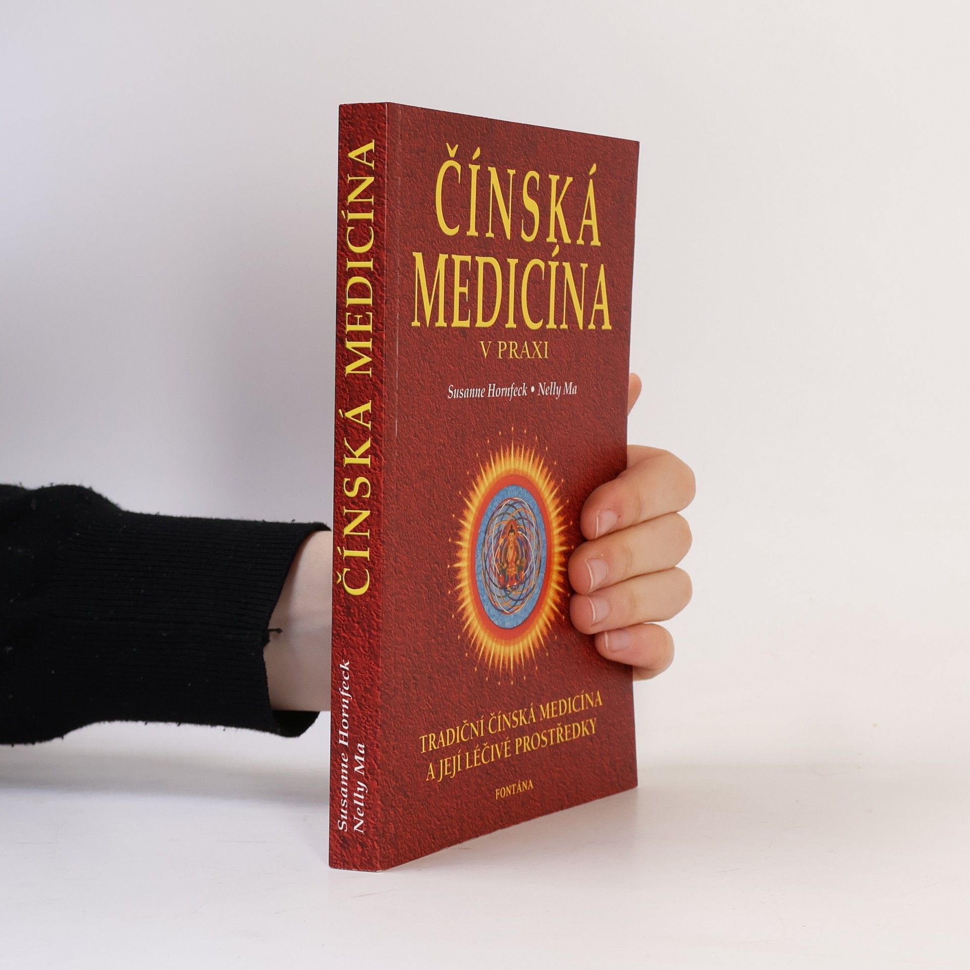 Susanne Hornfeck Čínská medicína v praxi: Masáže a cvičení pro zdraví