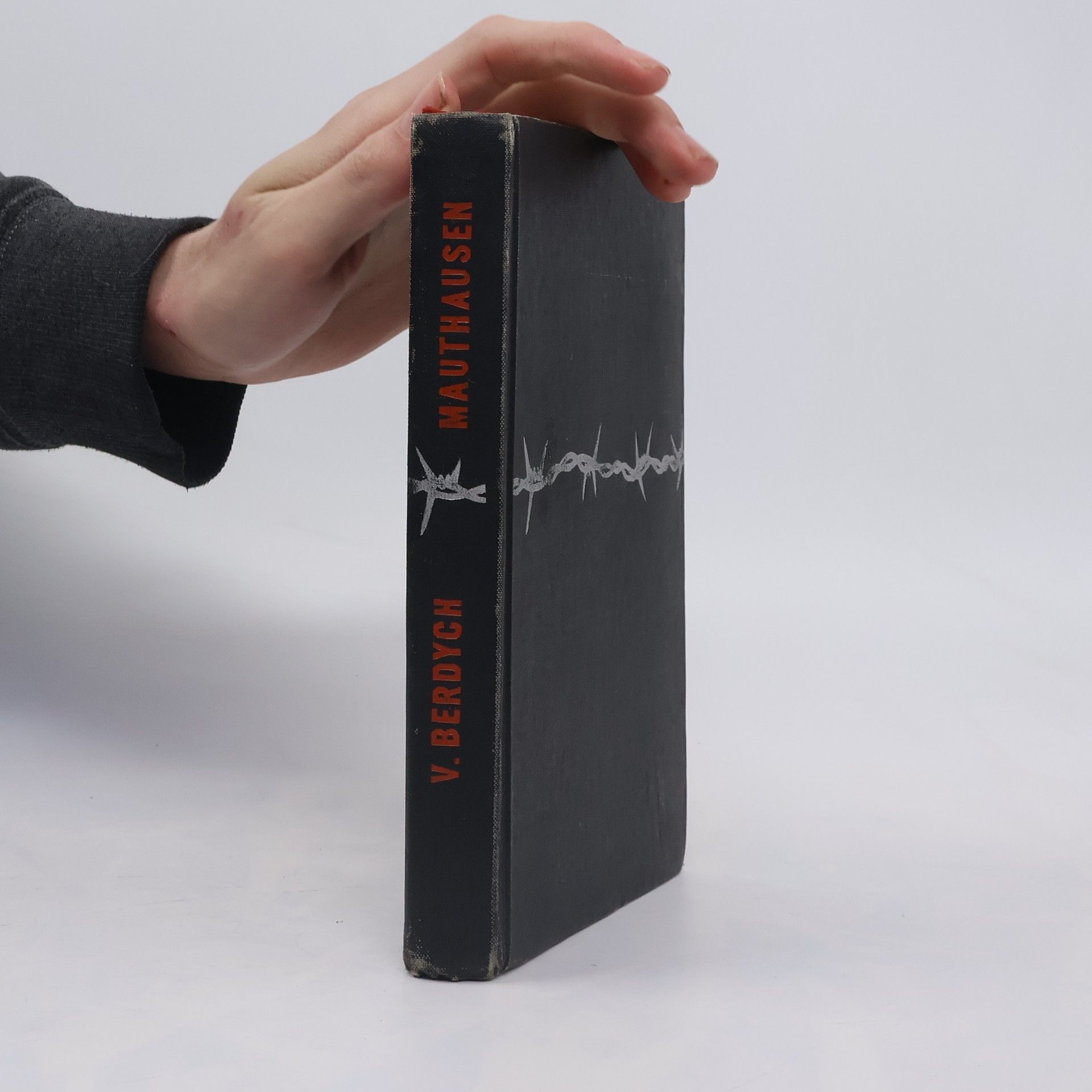 Václav Berdych Mathausen