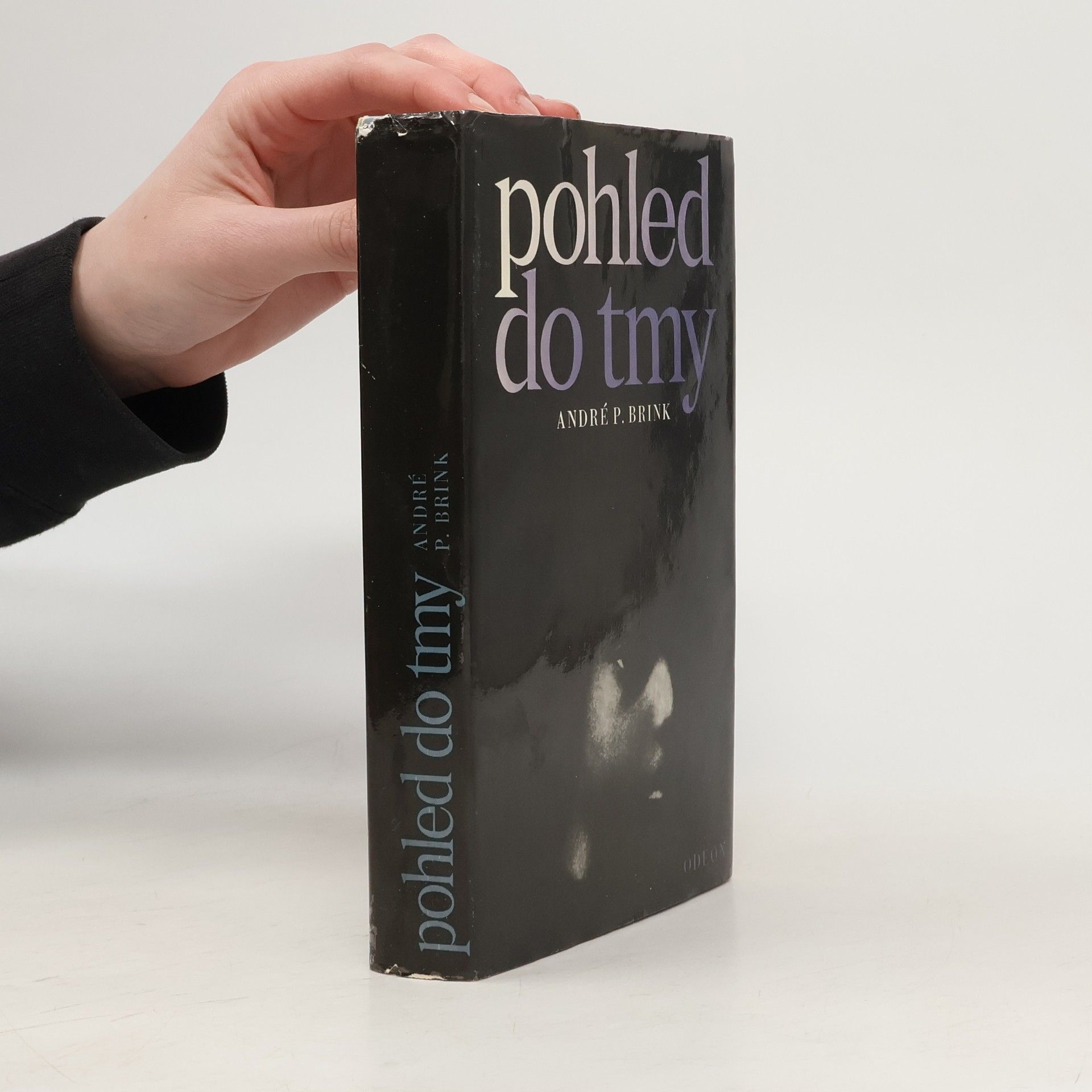 André Brink Pohled do tmy