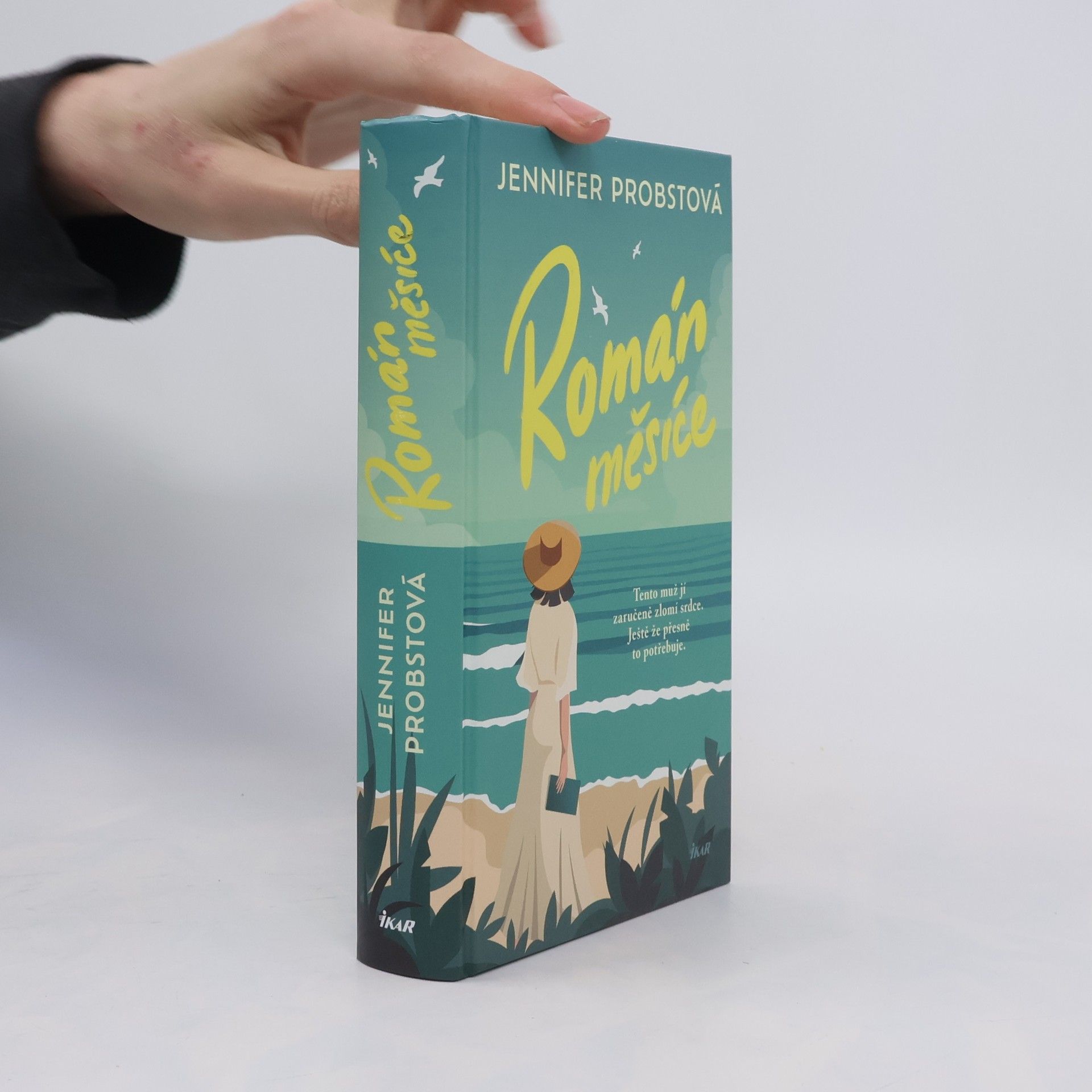 Jennifer Probst Román měsíce