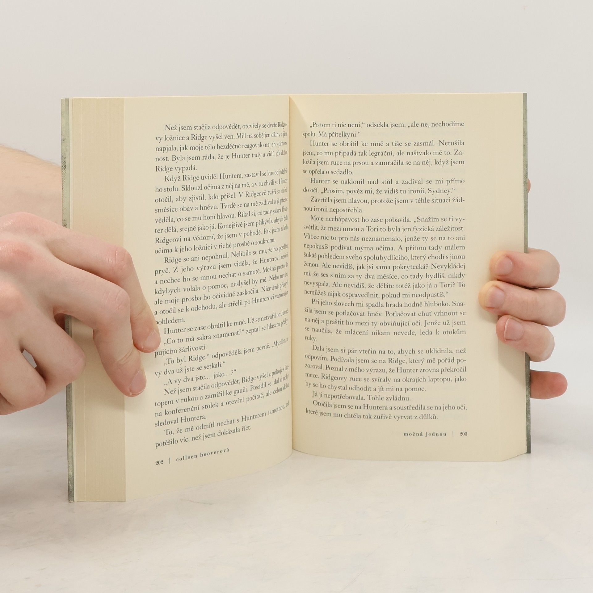 Colleen Hoover Možná jednou