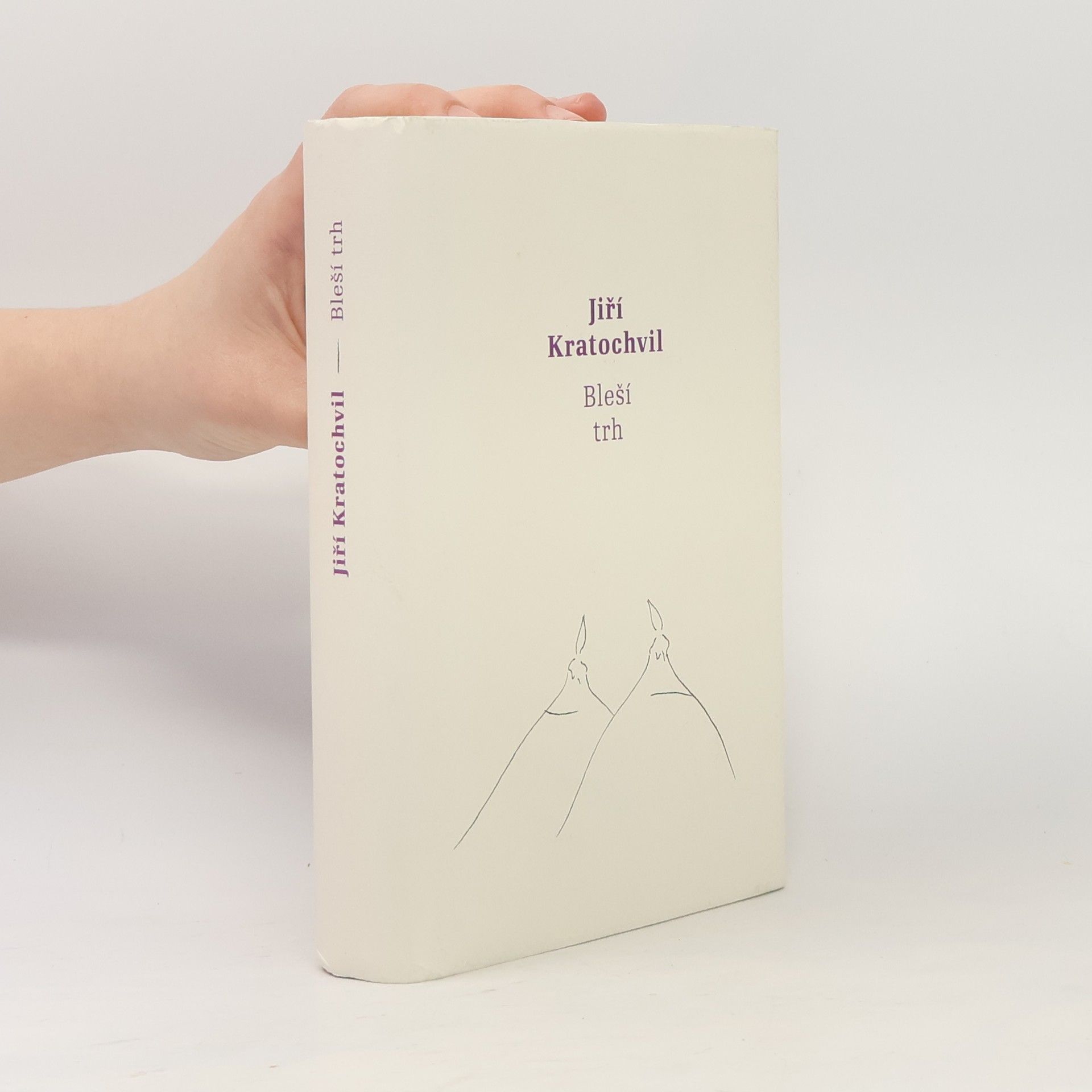 Jiří Kratochvil Bleší trh