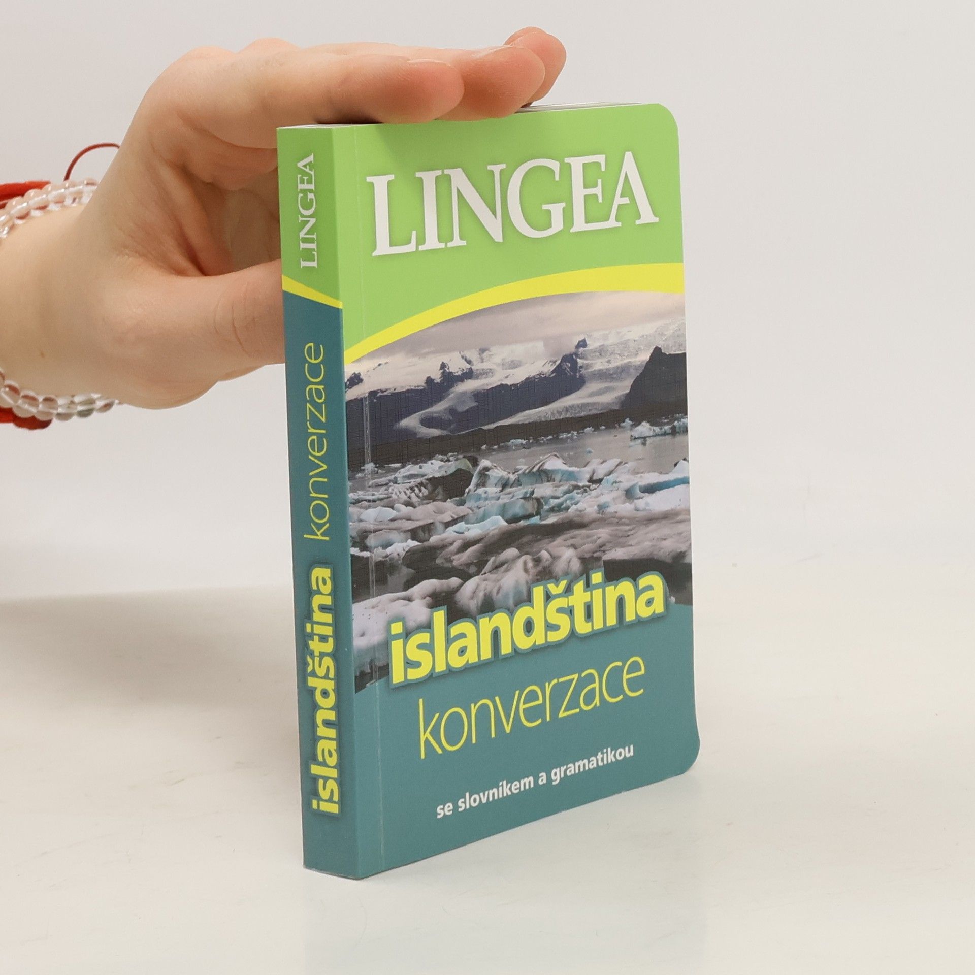 Autorenkollektiv Islandština konverzace se slovníkem a gramatikou