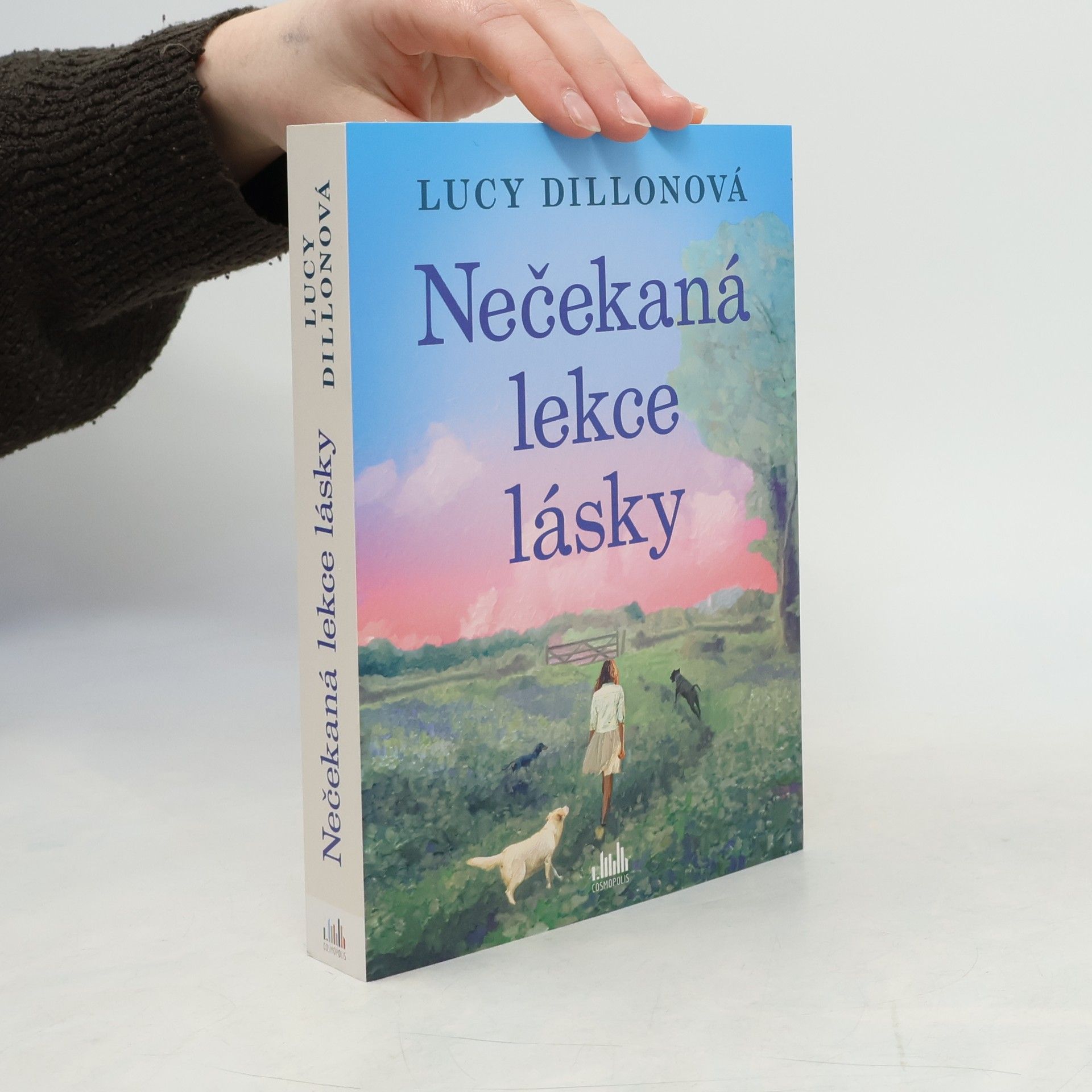 Lucy Dillon Nečekaná lekce lásky