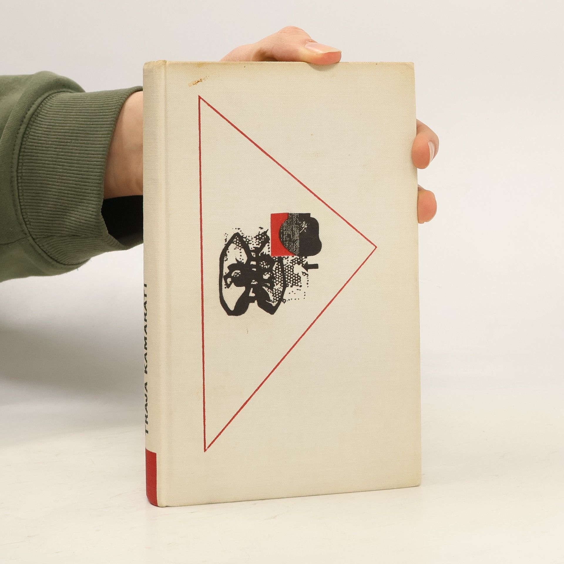 Erich Maria Remarque Traja kamaráti