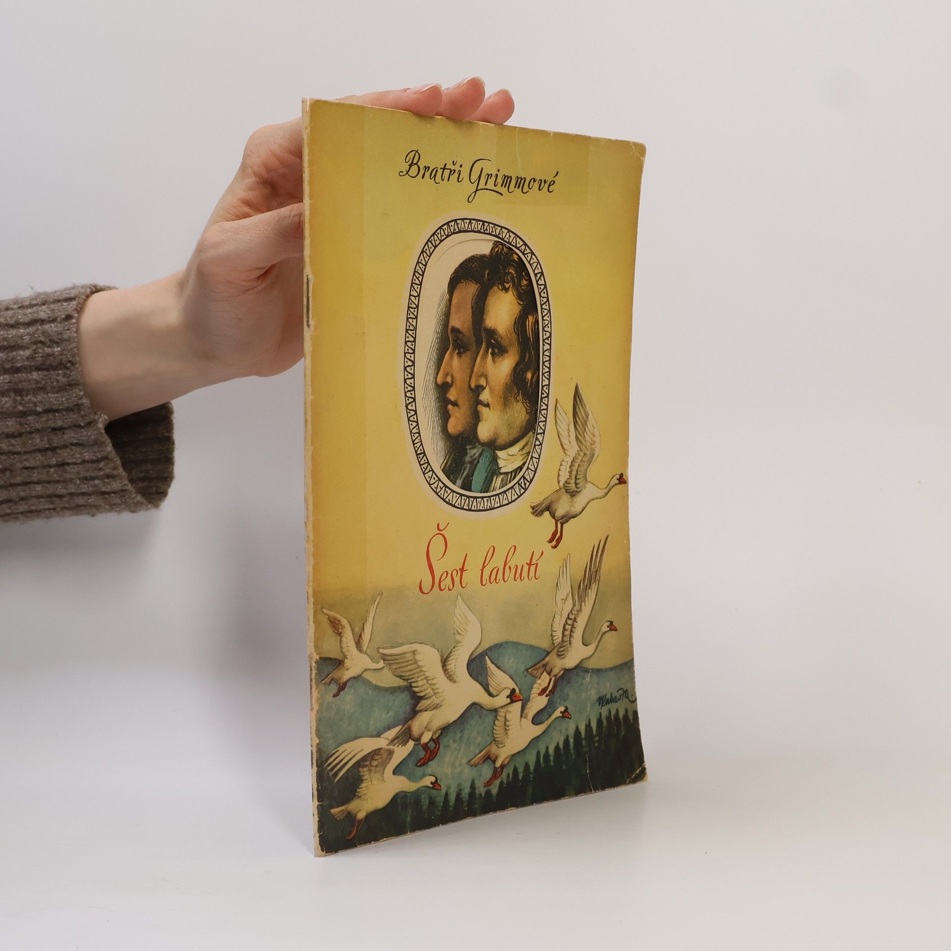 bratři Grimmové Šest labutí