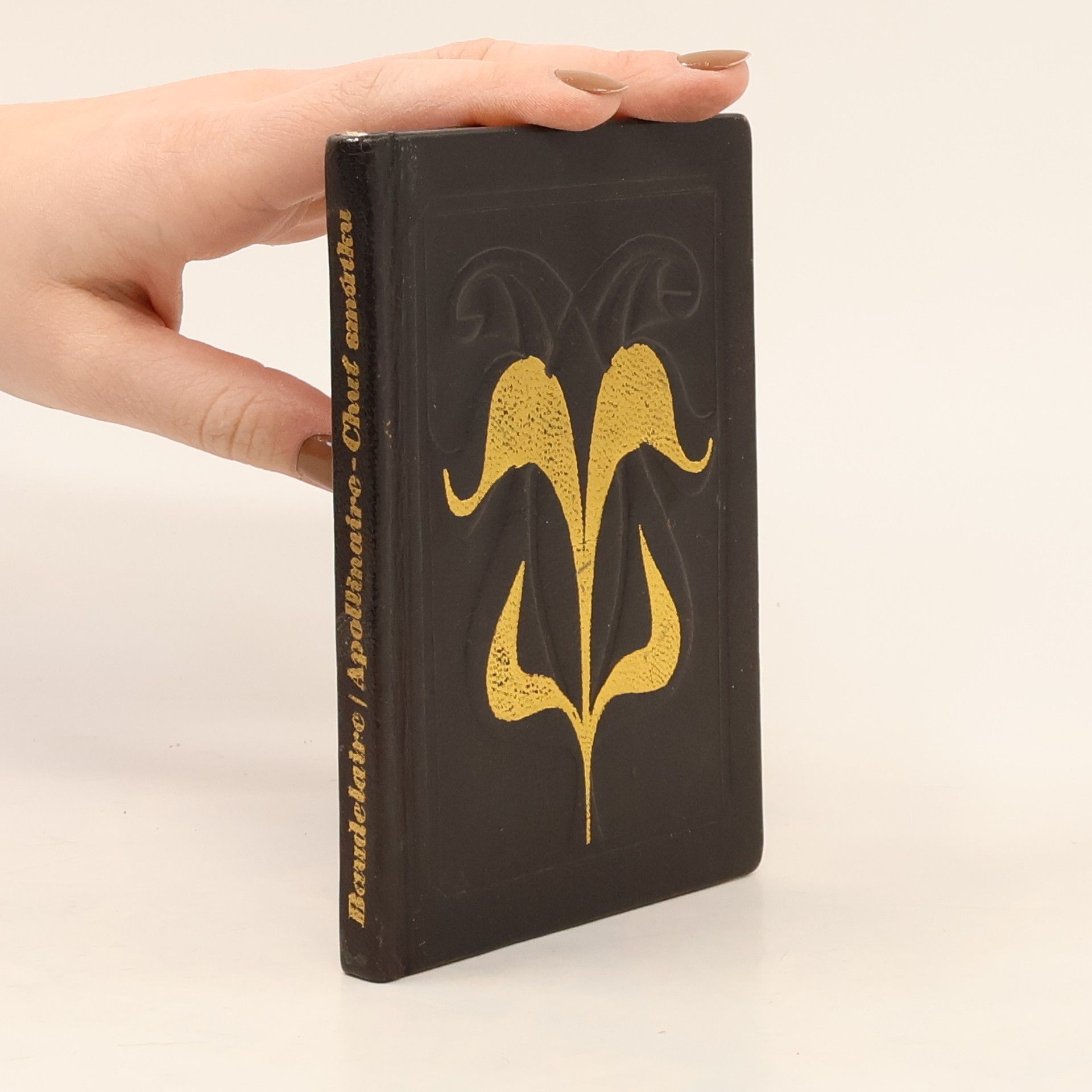 Charles Baudelaire Chuť smútku