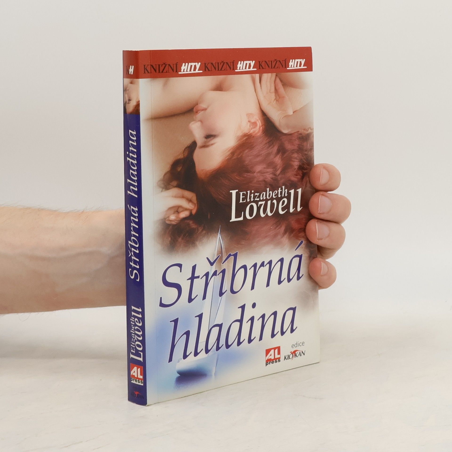 Ann Maxwell Stříbrná hladina