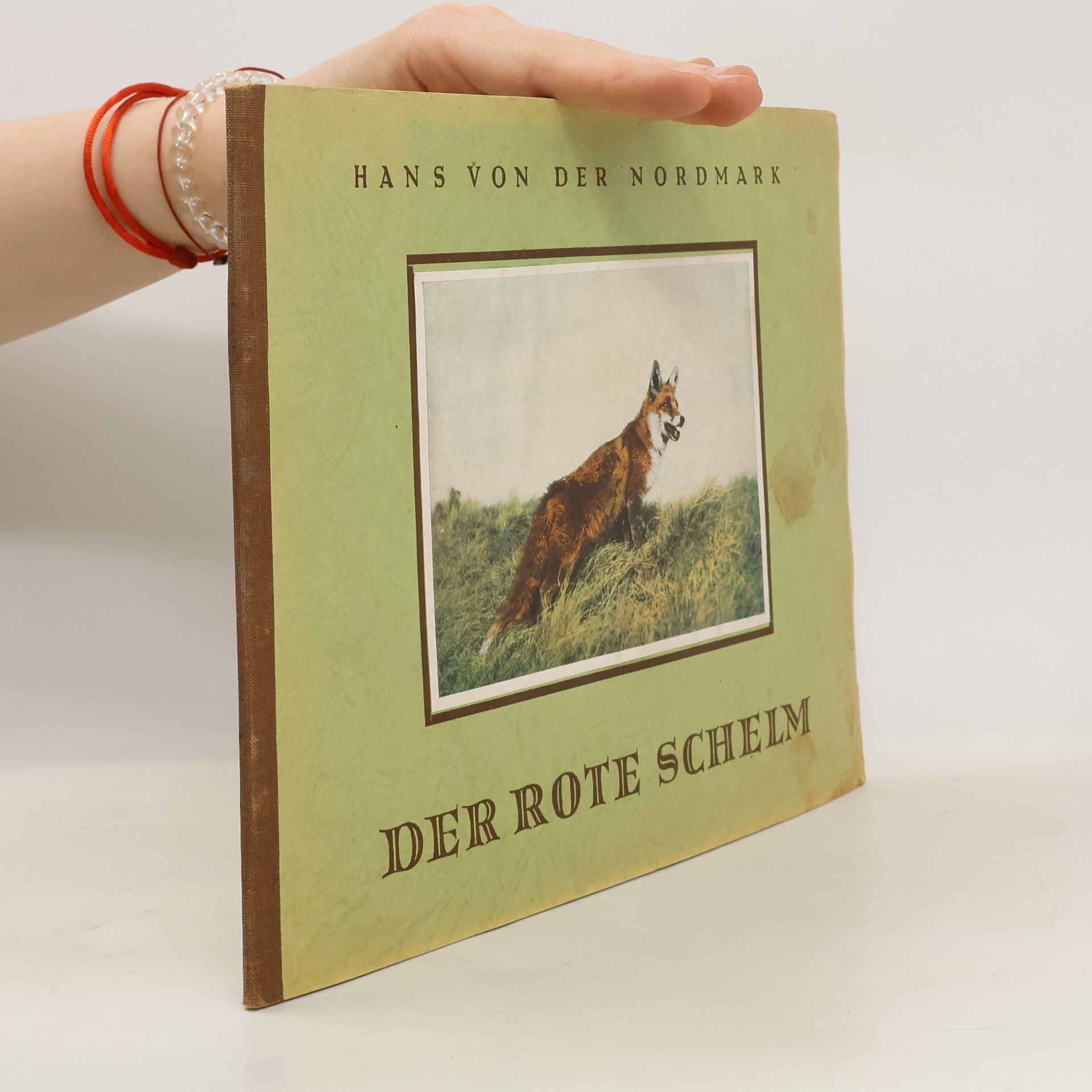 Hans von der Nordmark Der rote Schelm