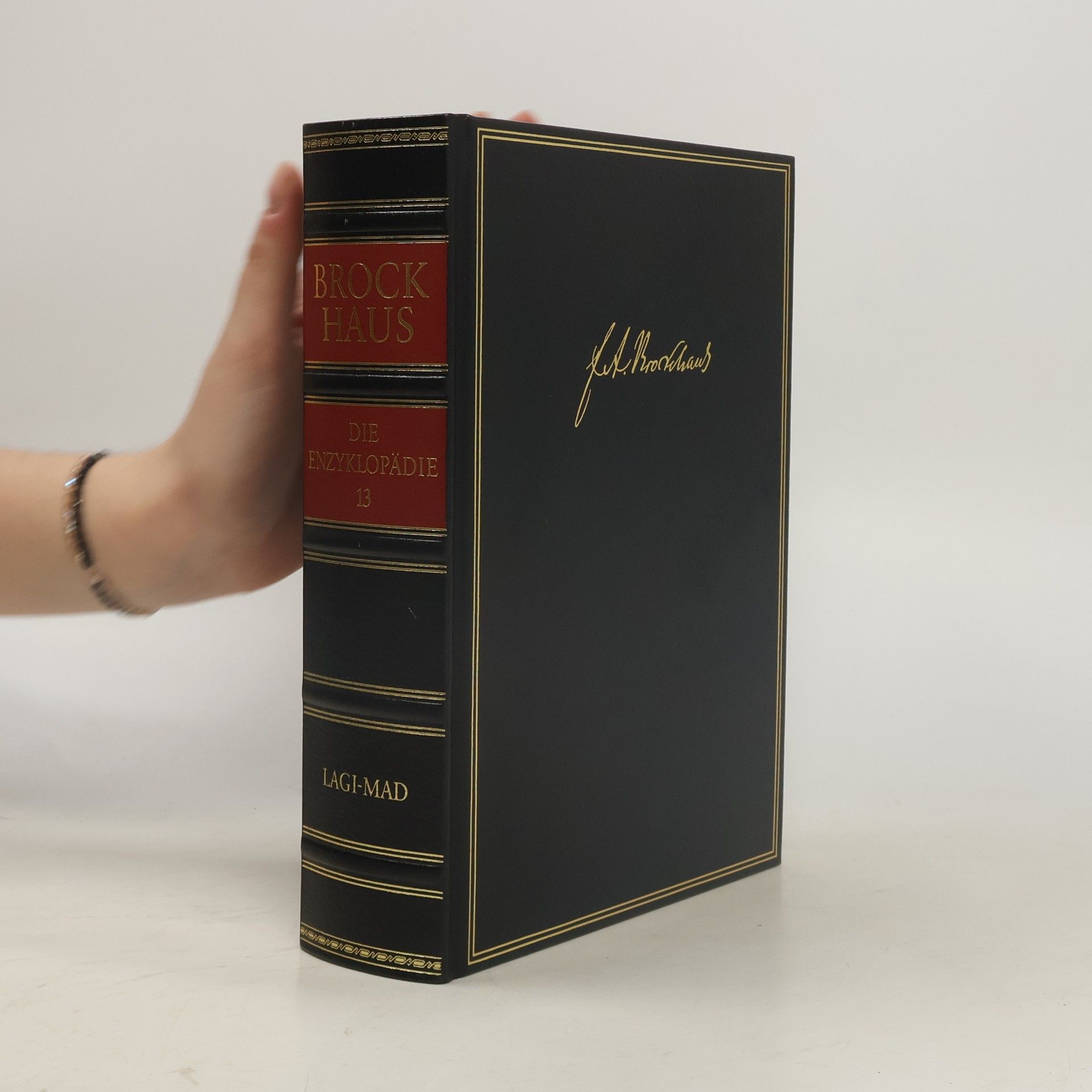 Autores varios Brockhaus - die Enzyklopädie 17