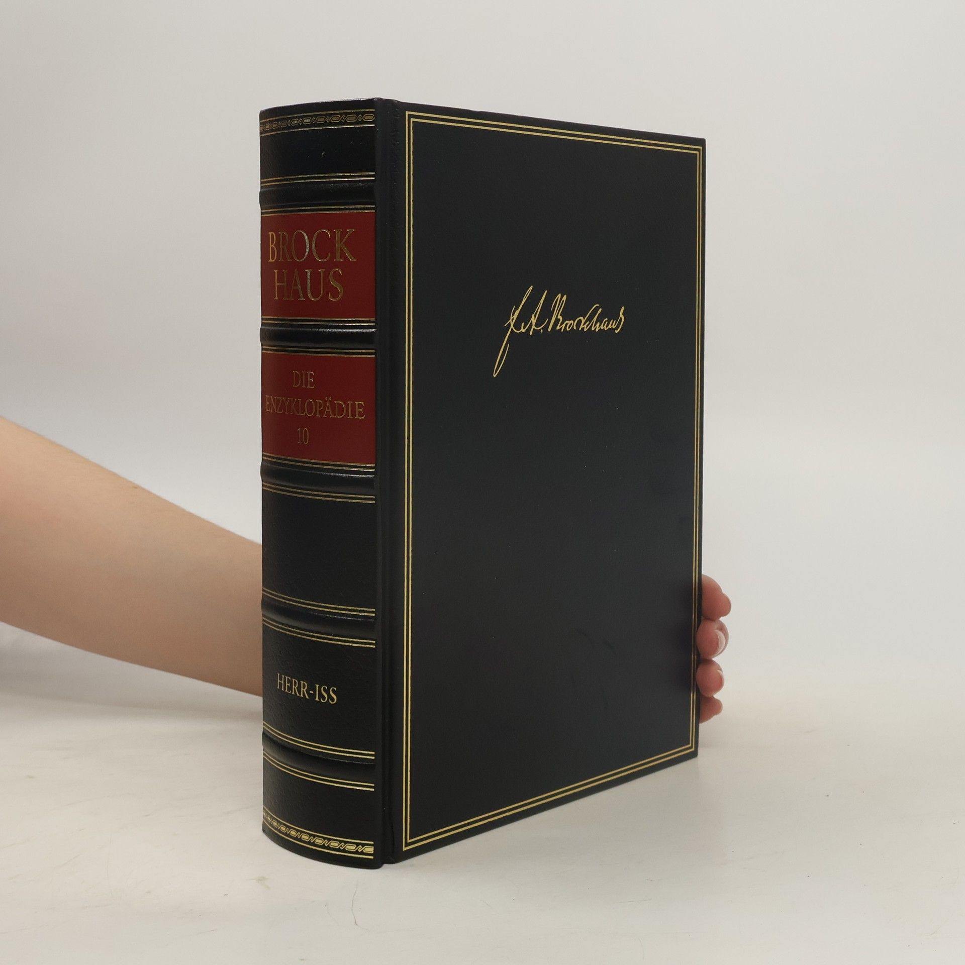 Autorenkollektiv Brockhaus - die Enzyklopädie 17