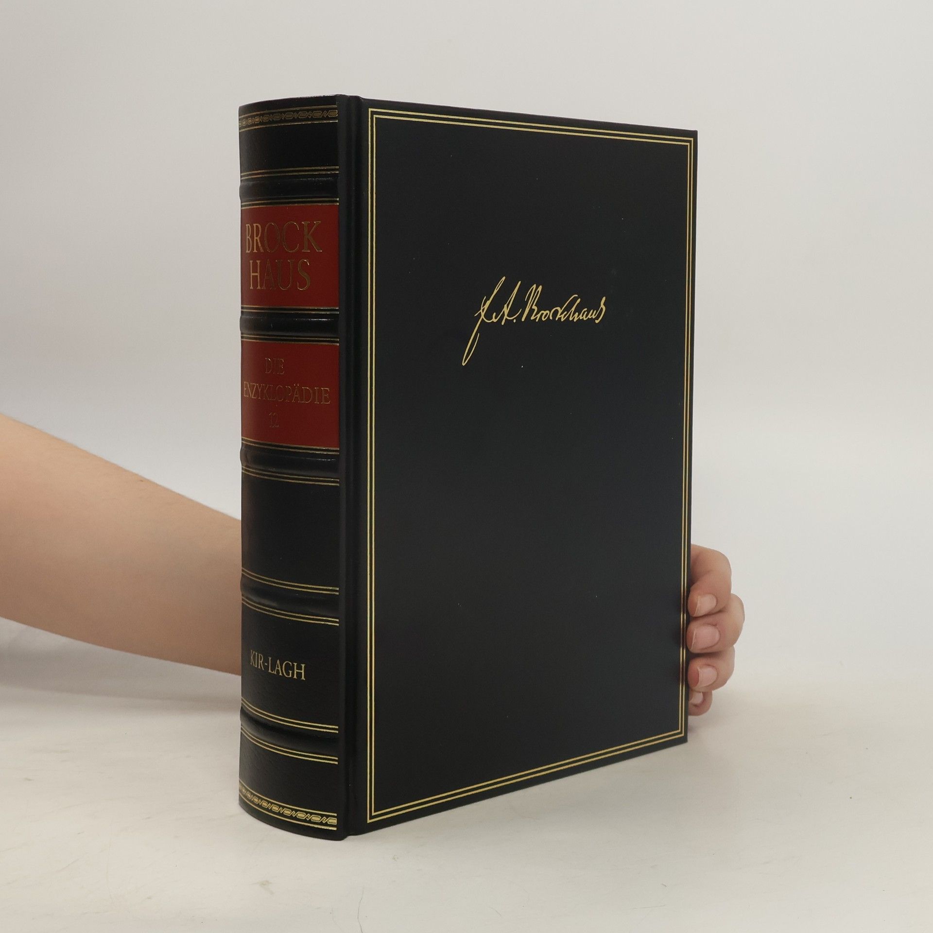 Kolektiv autorů Brockhaus - die Enzyklopädie 17
