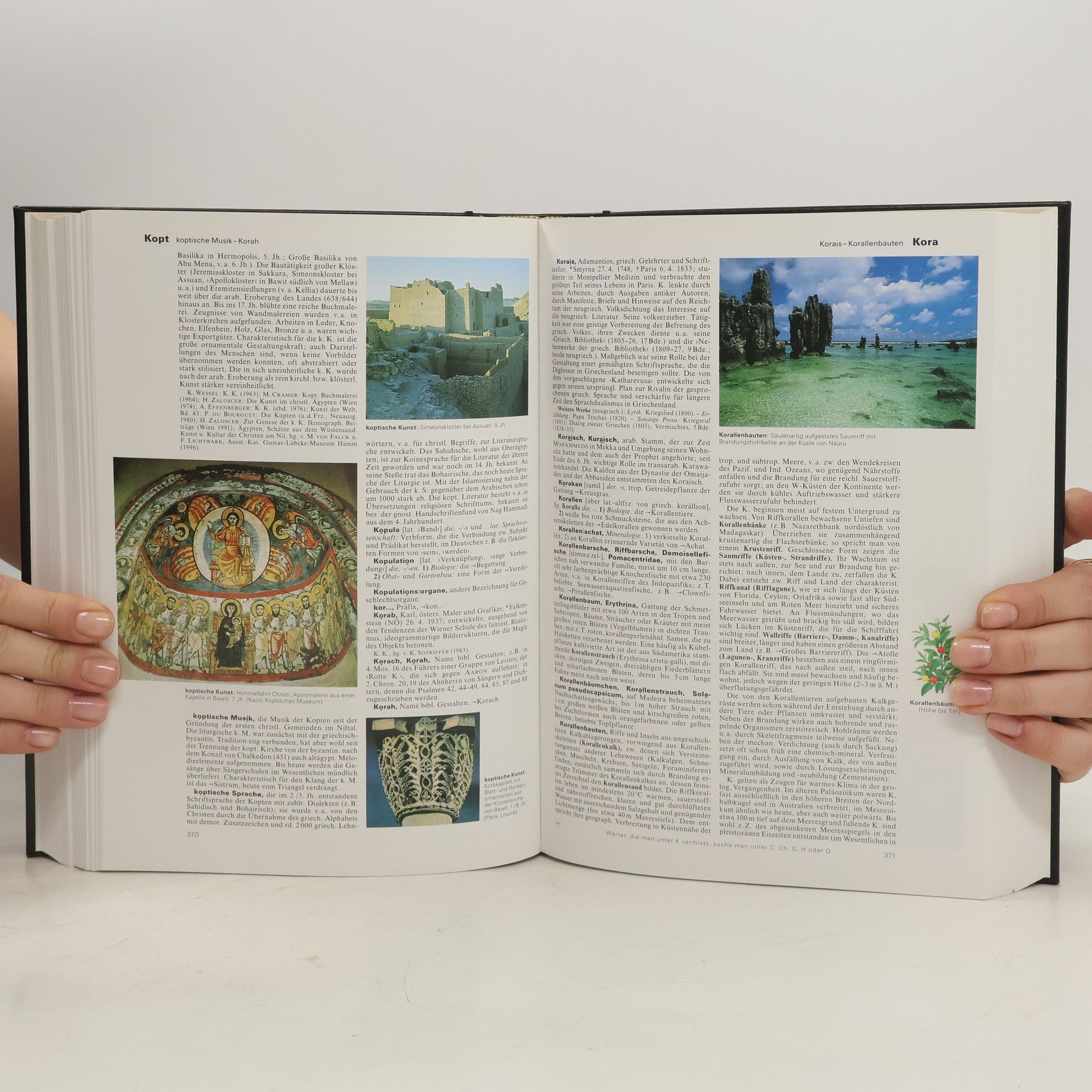 Autorenkollektiv Brockhaus - die Enzyklopädie 17