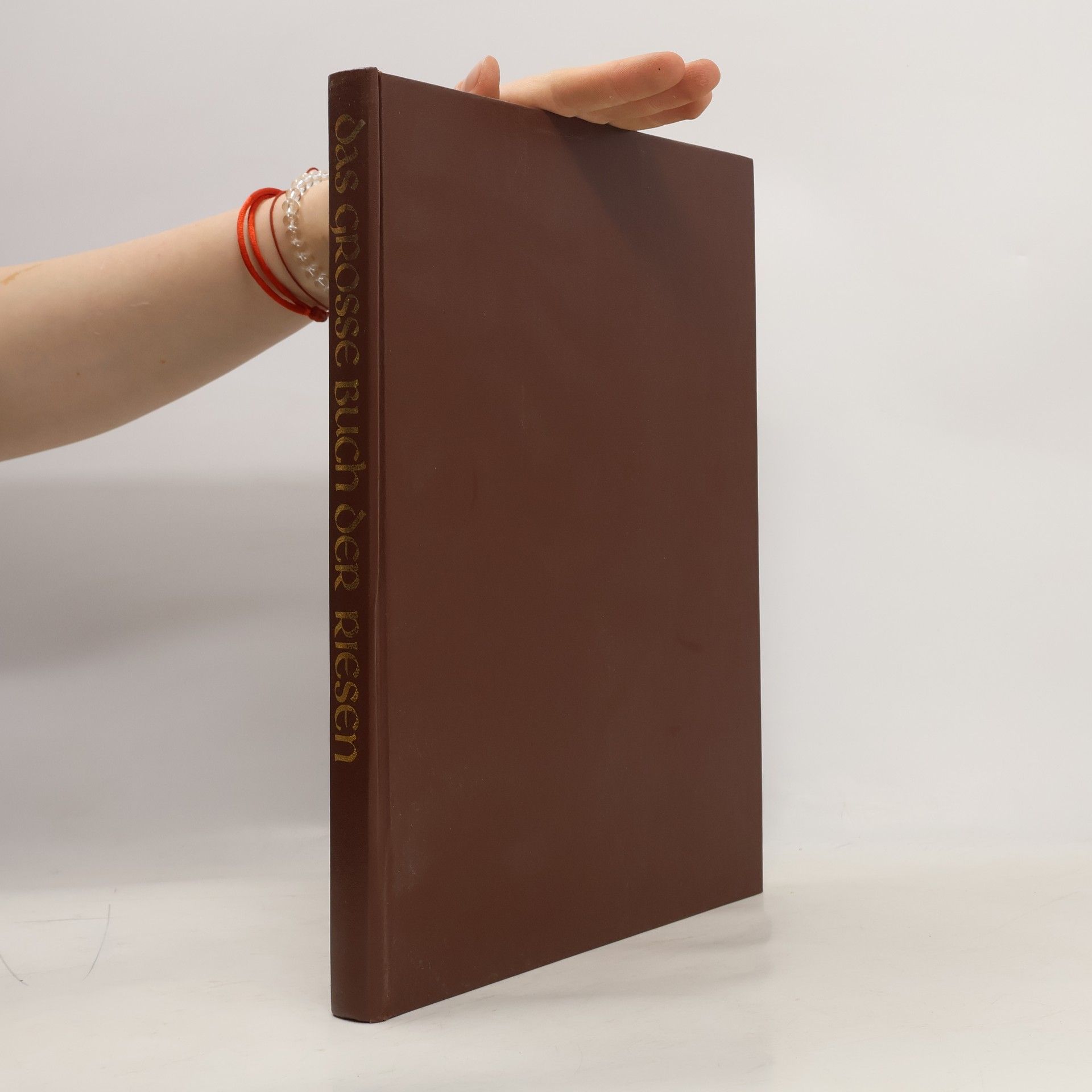 Julek Heller Das grosse Buch der Riesen