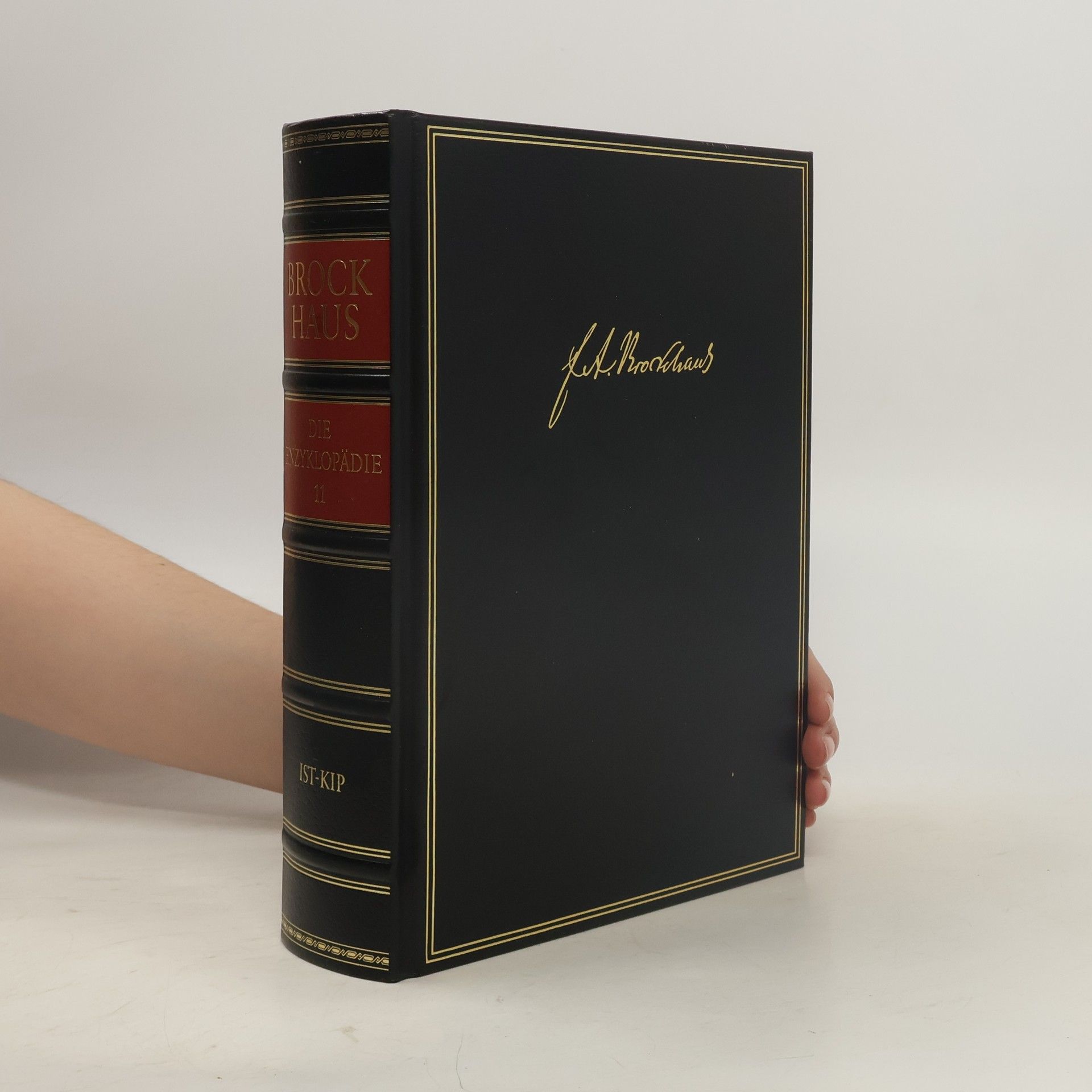 Autorenkollektiv Brockhaus - die Enzyklopädie 17