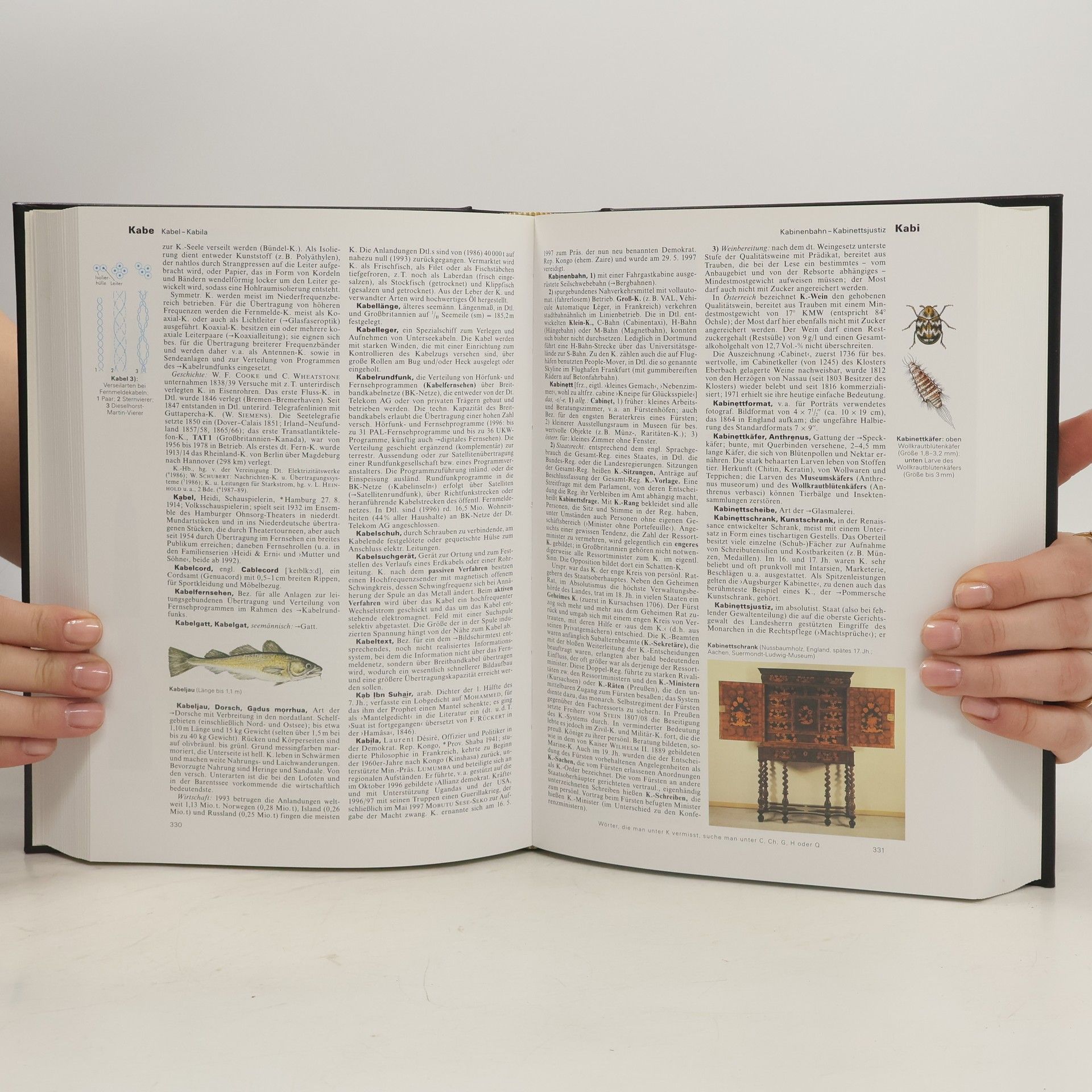 Autorenkollektiv Brockhaus - die Enzyklopädie 17