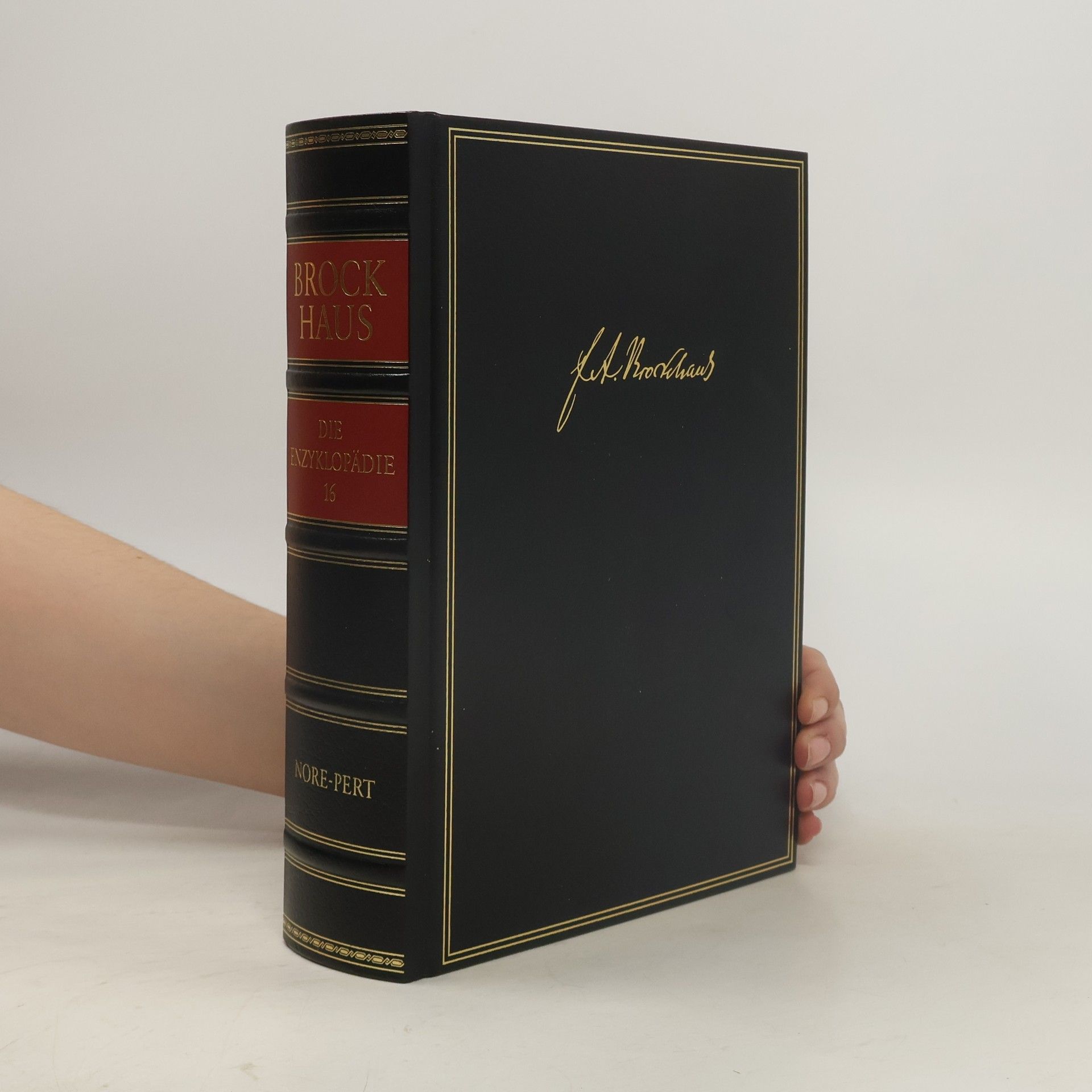 Autorenkollektiv Brockhaus - die Enzyklopädie 17