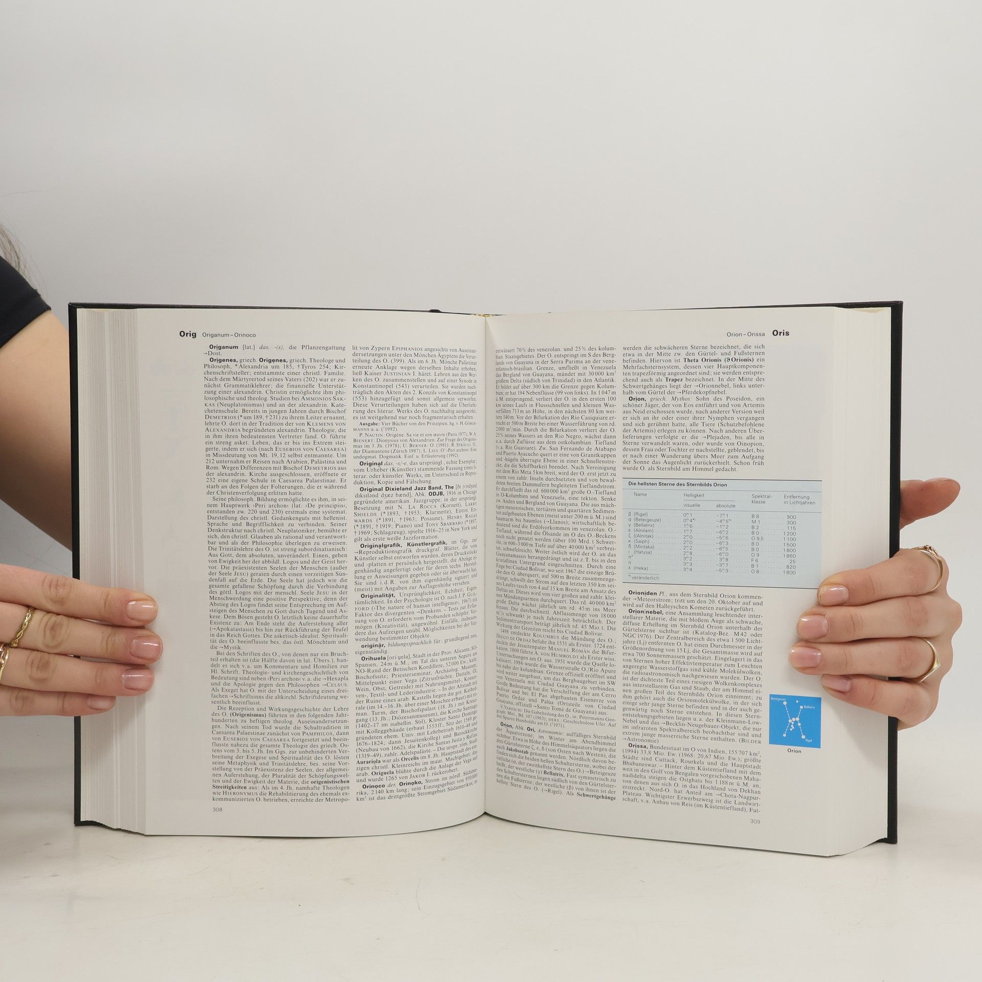 Various authors Brockhaus - die Enzyklopädie 17