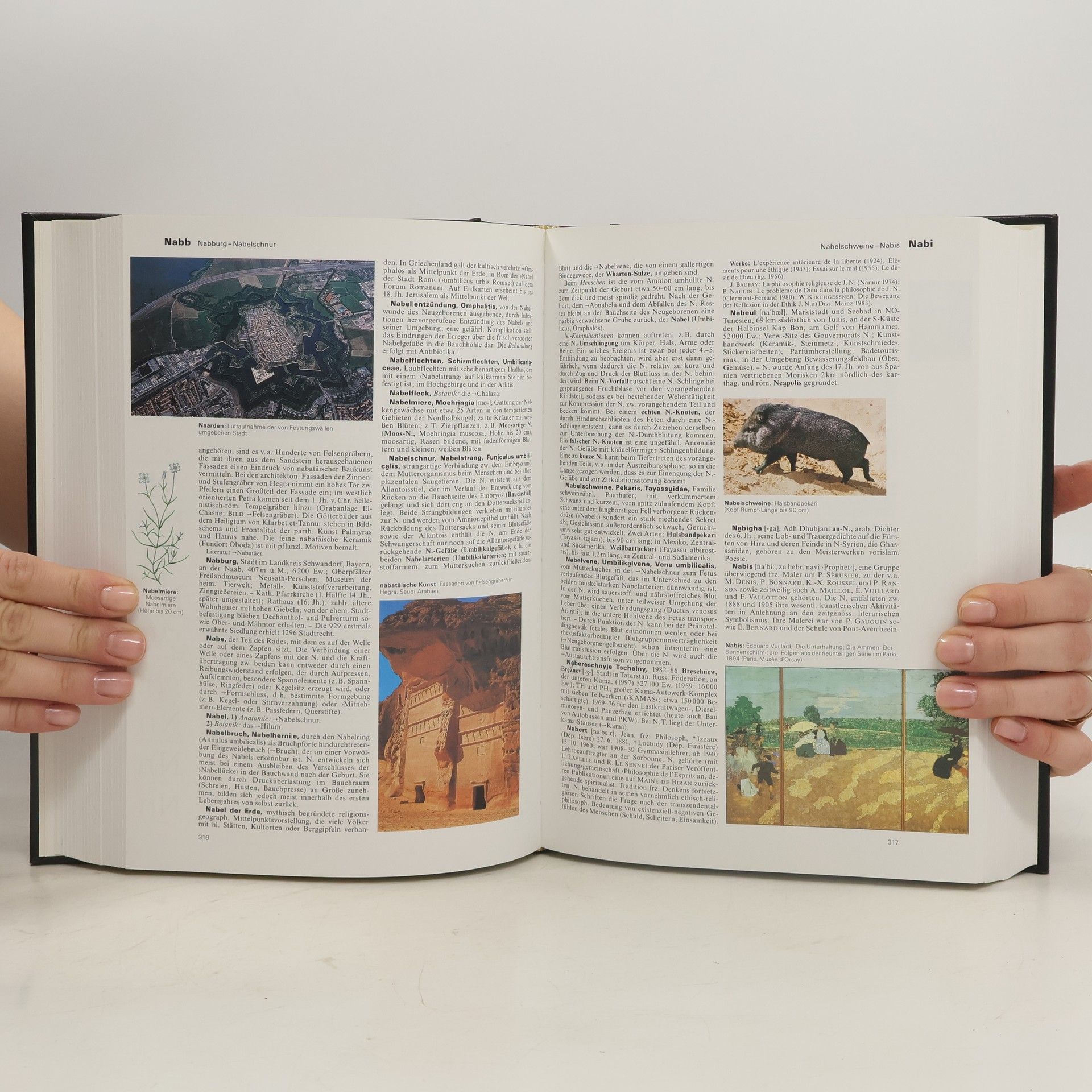 Autorenkollektiv Brockhaus - die Enzyklopädie 17