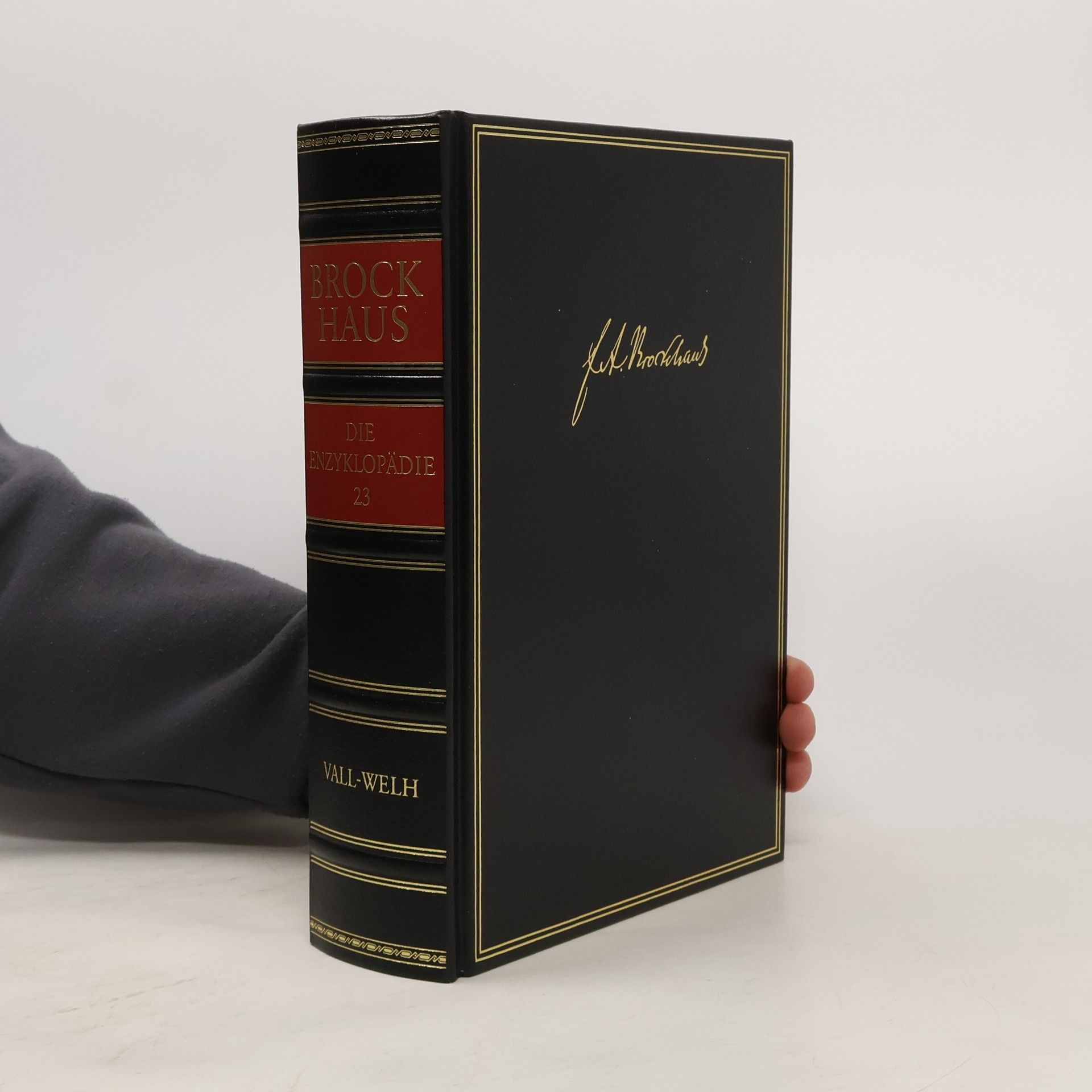 Autorenkollektiv Brockhaus - die Enzyklopädie 17