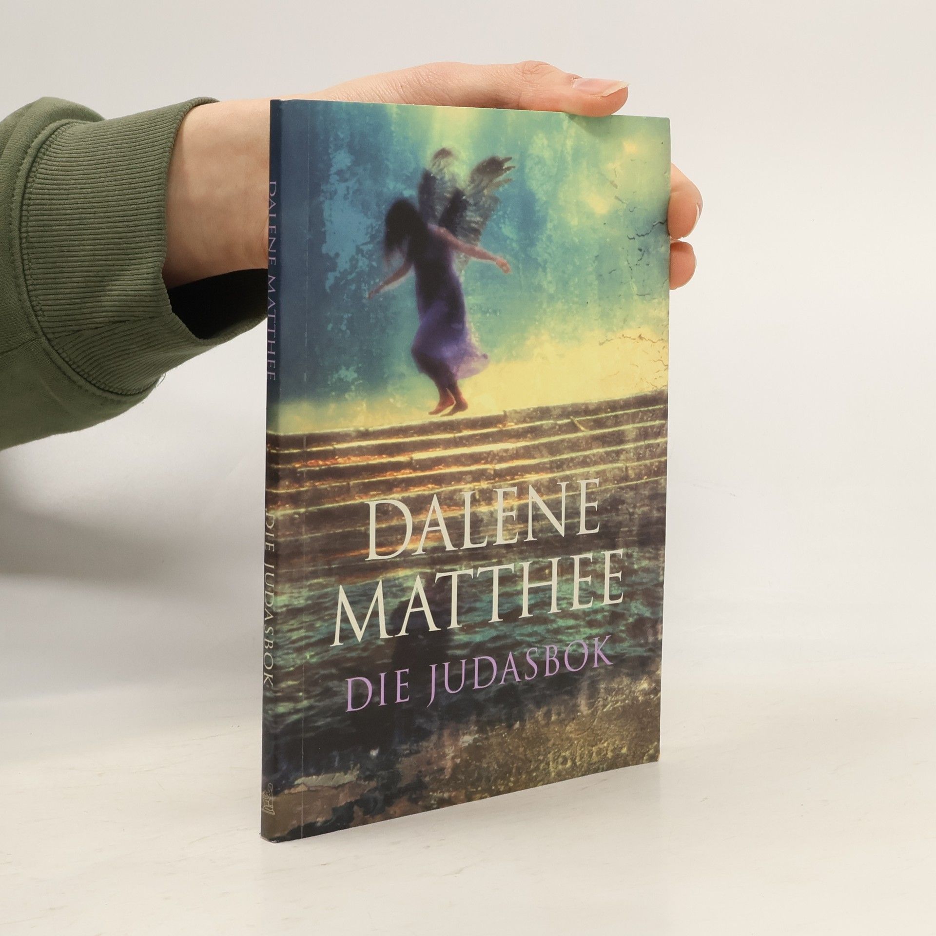 Dalene Mathee Die Judasbok