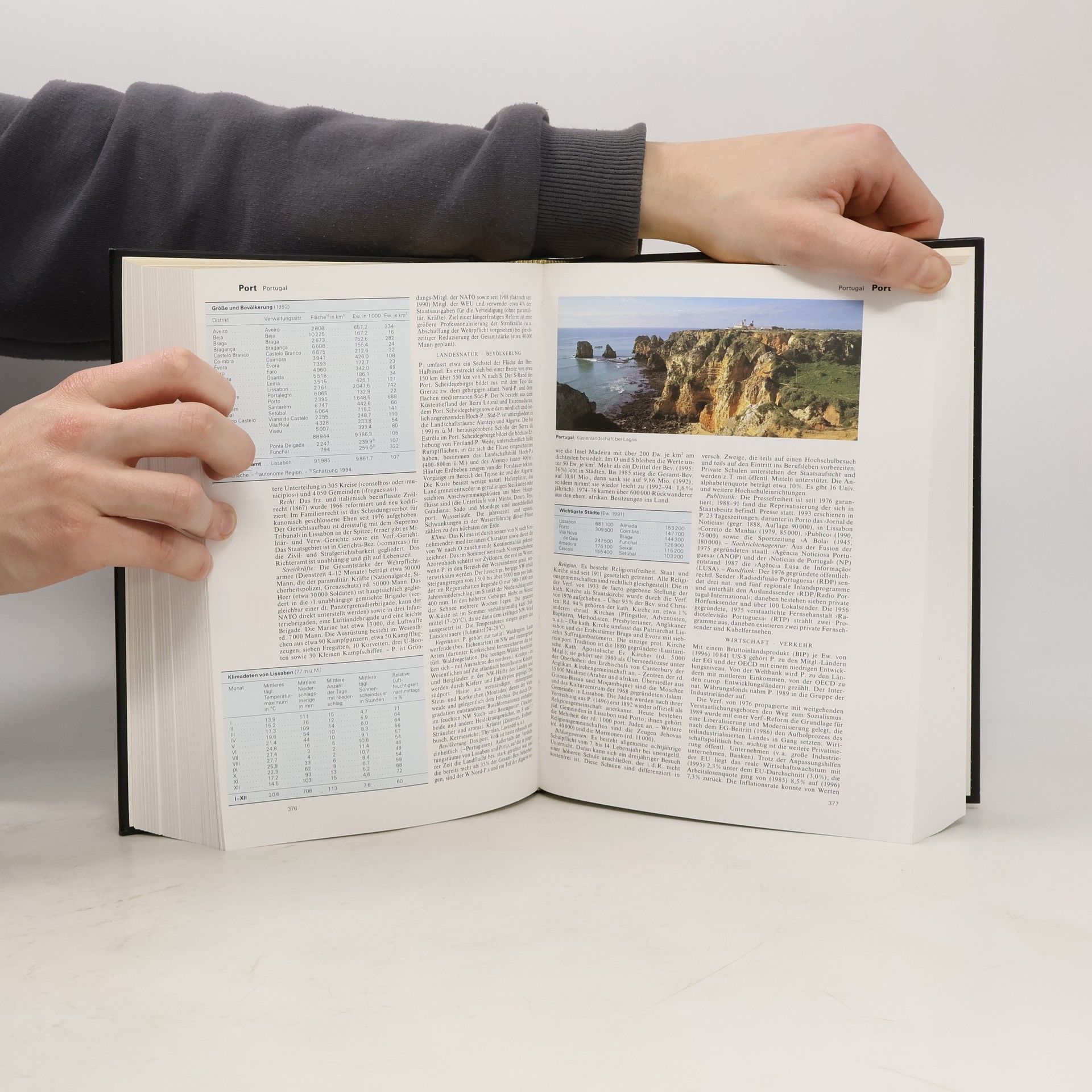 Auteurscollectief Brockhaus - die Enzyklopädie 17