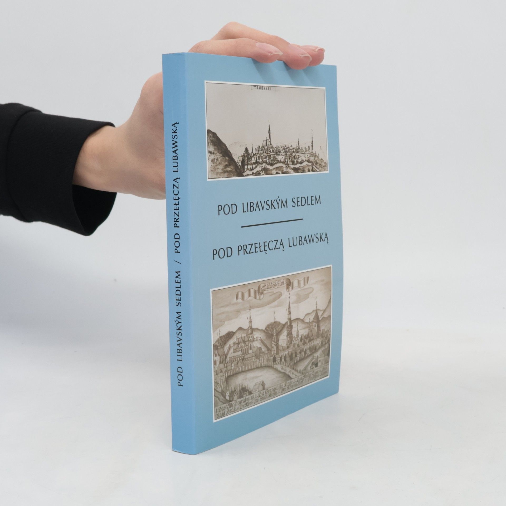 Kolektiv autorů Pod Libavským sedlem. Pod przełęczą Lubawską