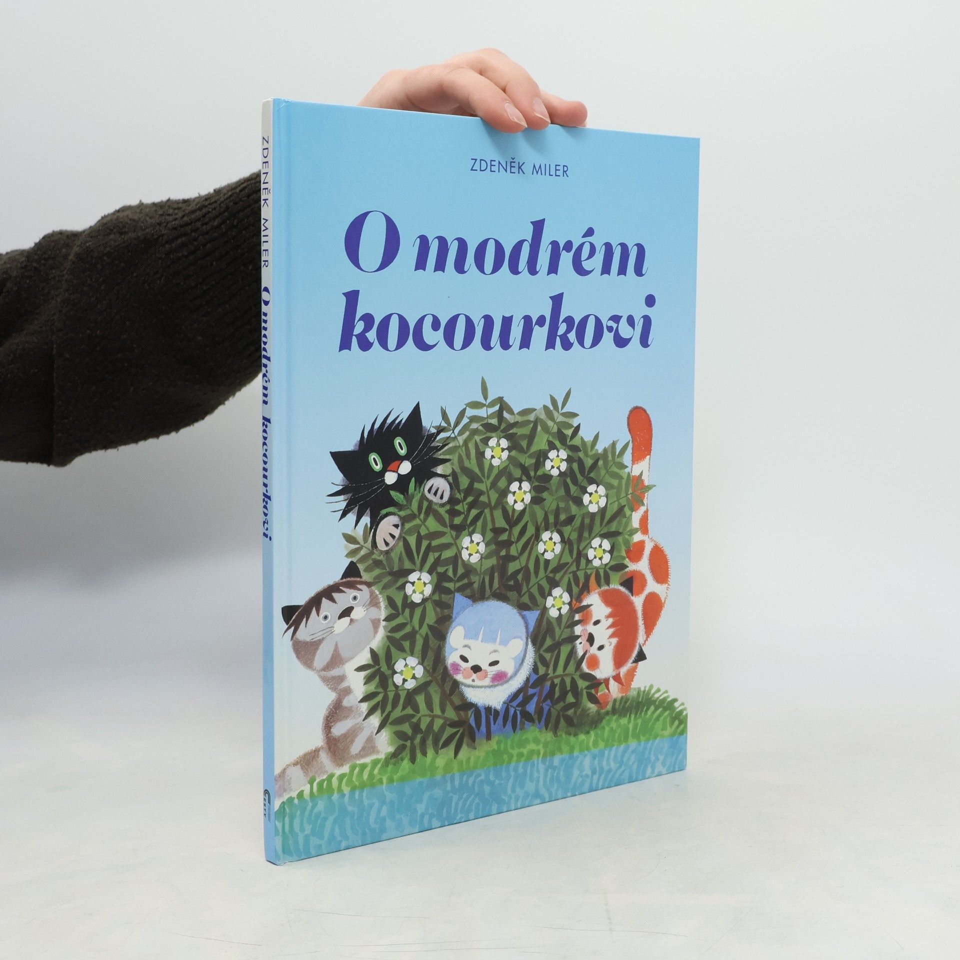 Marika Hellstrom Kennedy O modrém kocourkovi