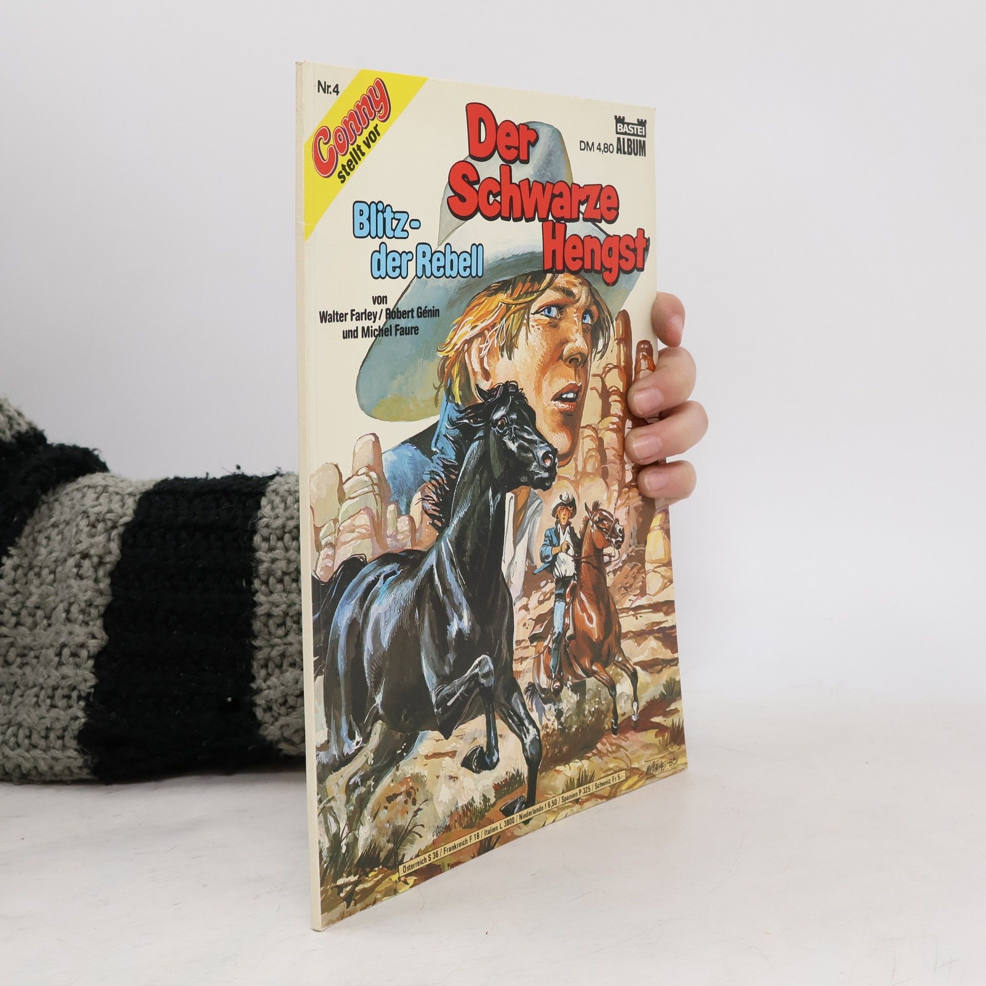 Kolektiv autorů Der Schwarze Hengst 4