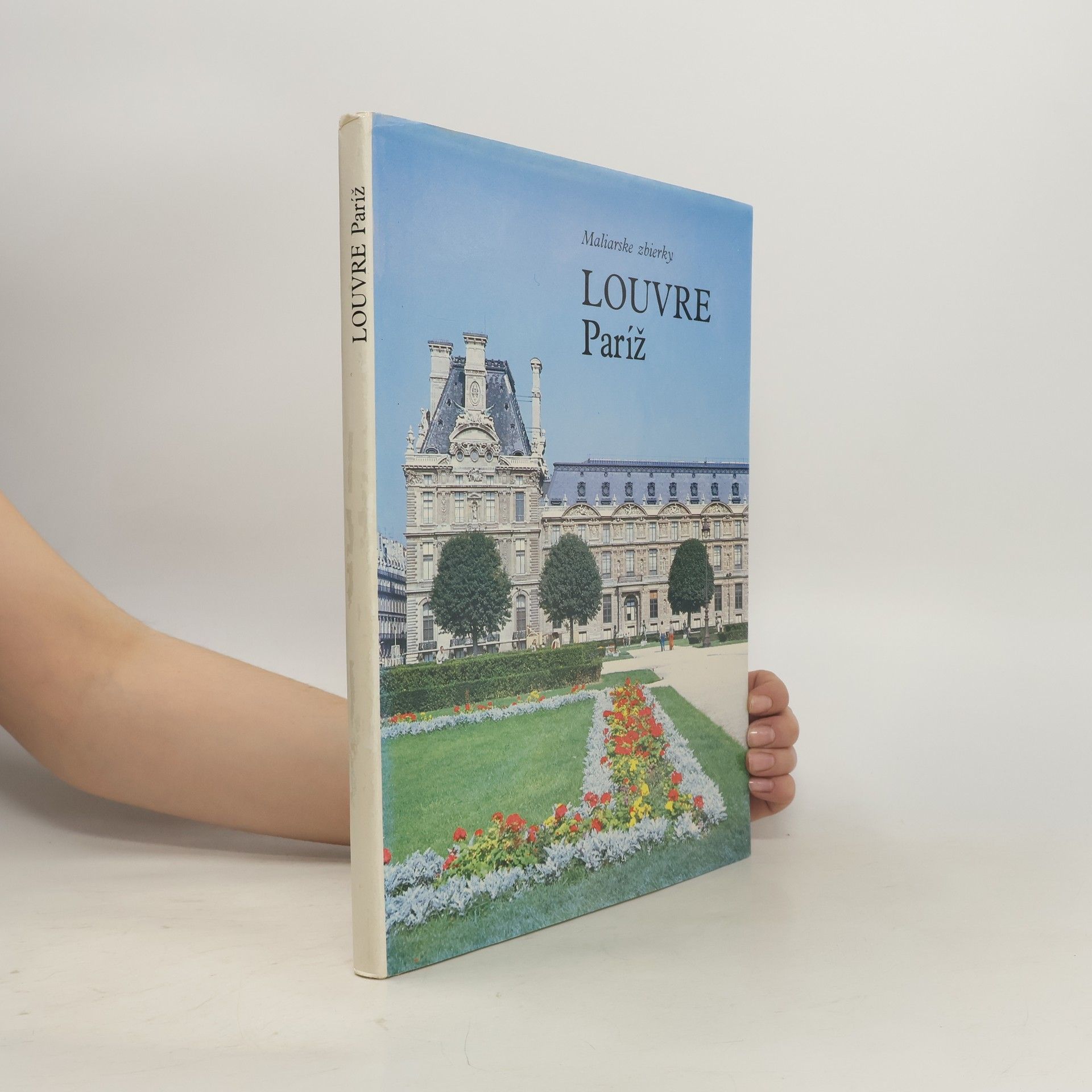 Mia Cinotti Louvre Paríž : Maliarske zbierky